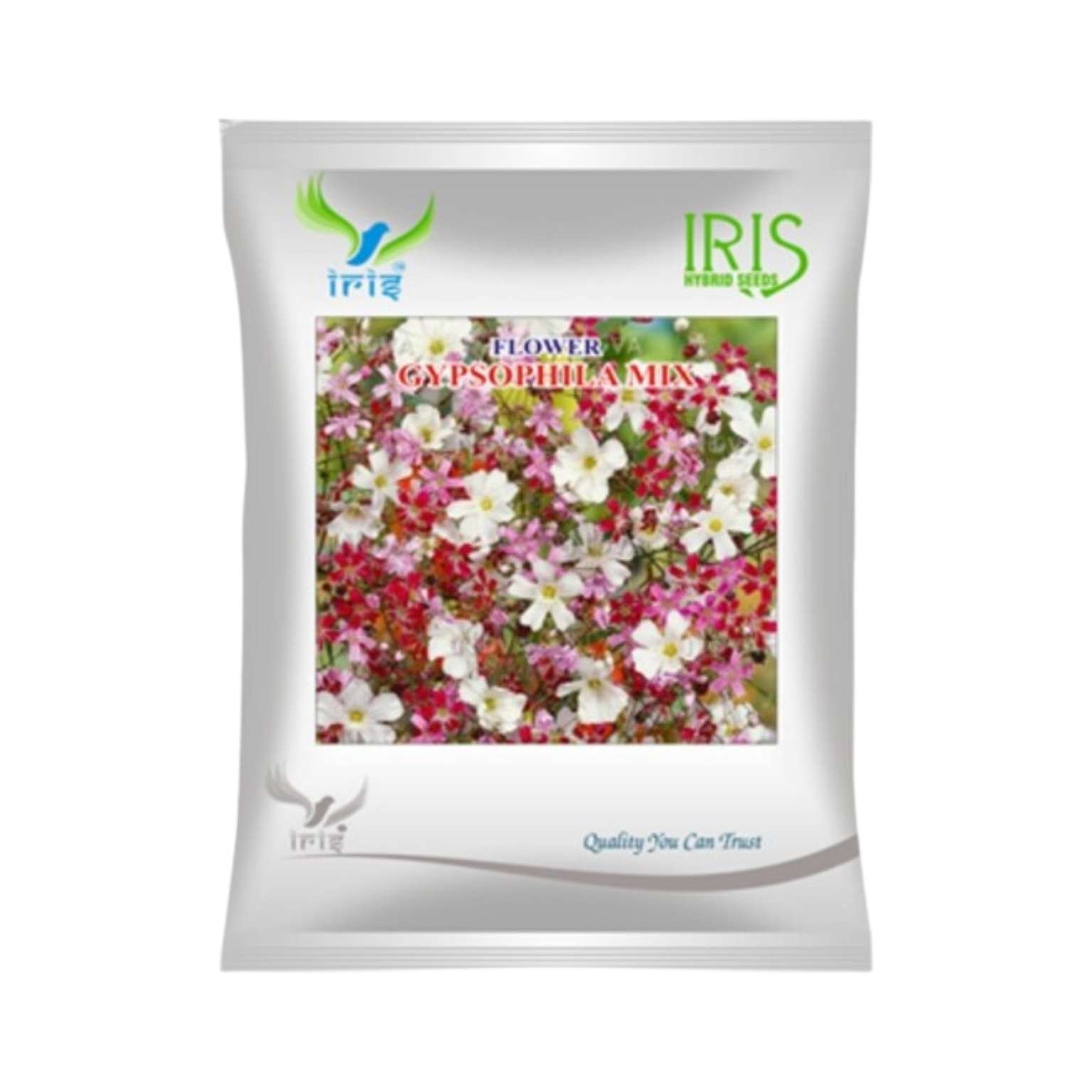 Iris Hybrid Gypsophila Mix Flower Seeds (300 seeds)