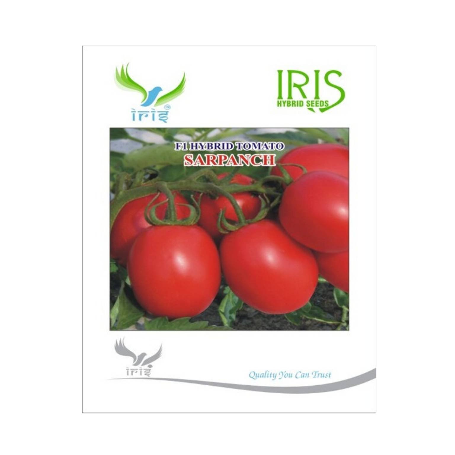 Iris Hybrid Tomato Sarpanch Vegetable Seeds