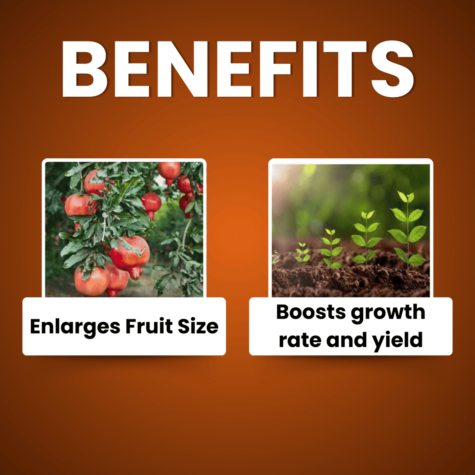 Katyayani Nutritious Triacontanol 0.1% EW Plant Growth Regulator