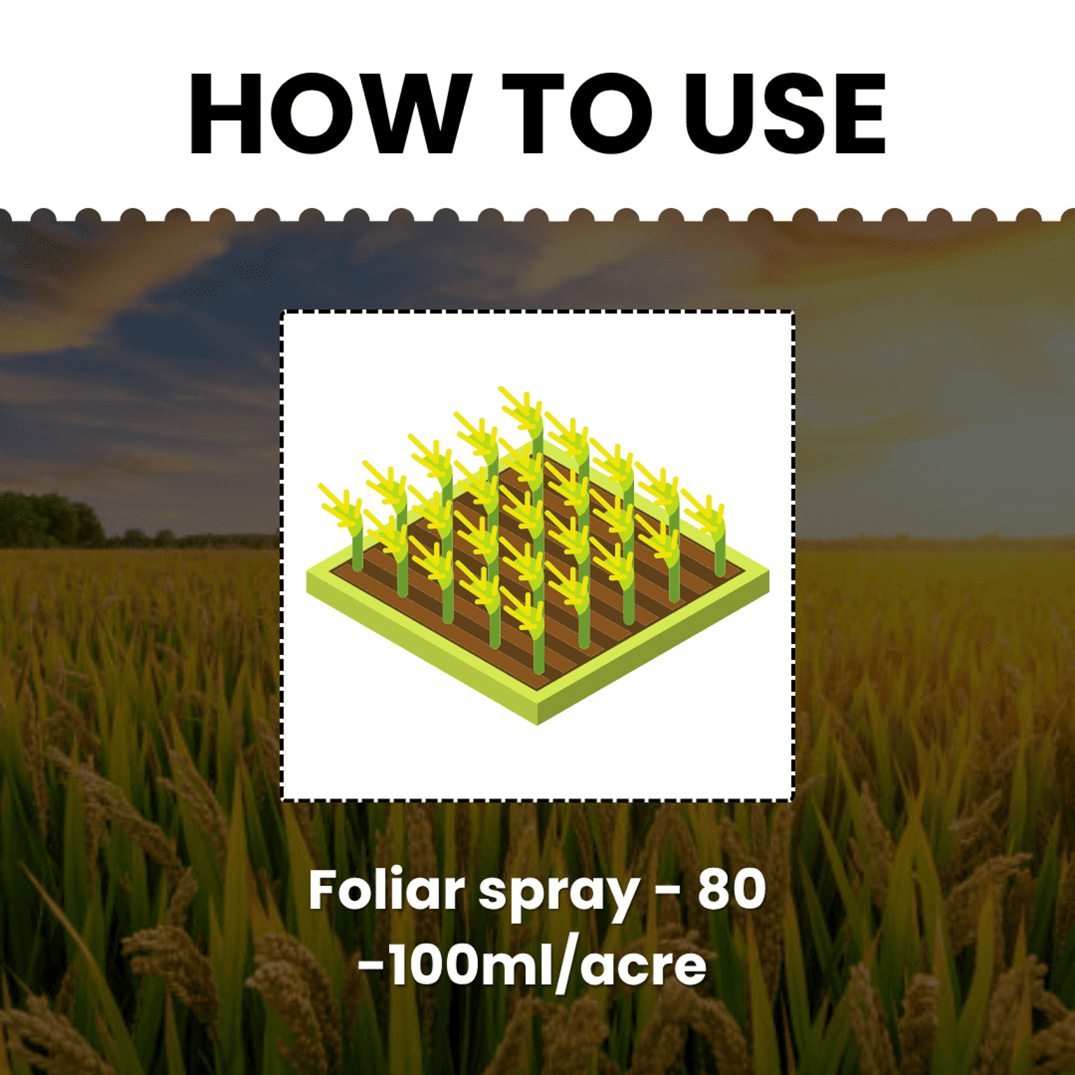 Katyayani Garuda Bispyribac Sodium 10% SC Chemical Herbicide