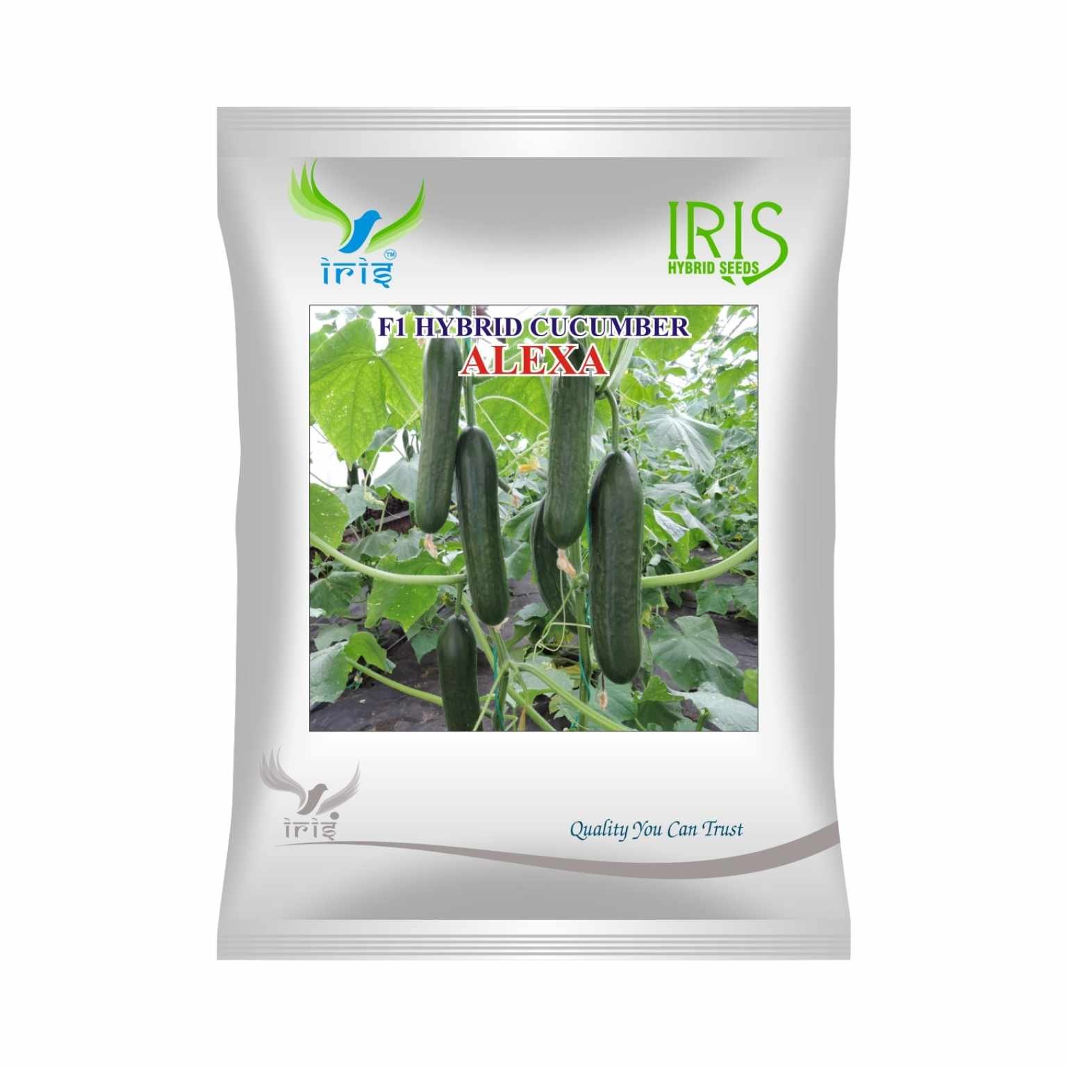 Iris Hybrid Cucumber Alexa Vegetable Seeds
