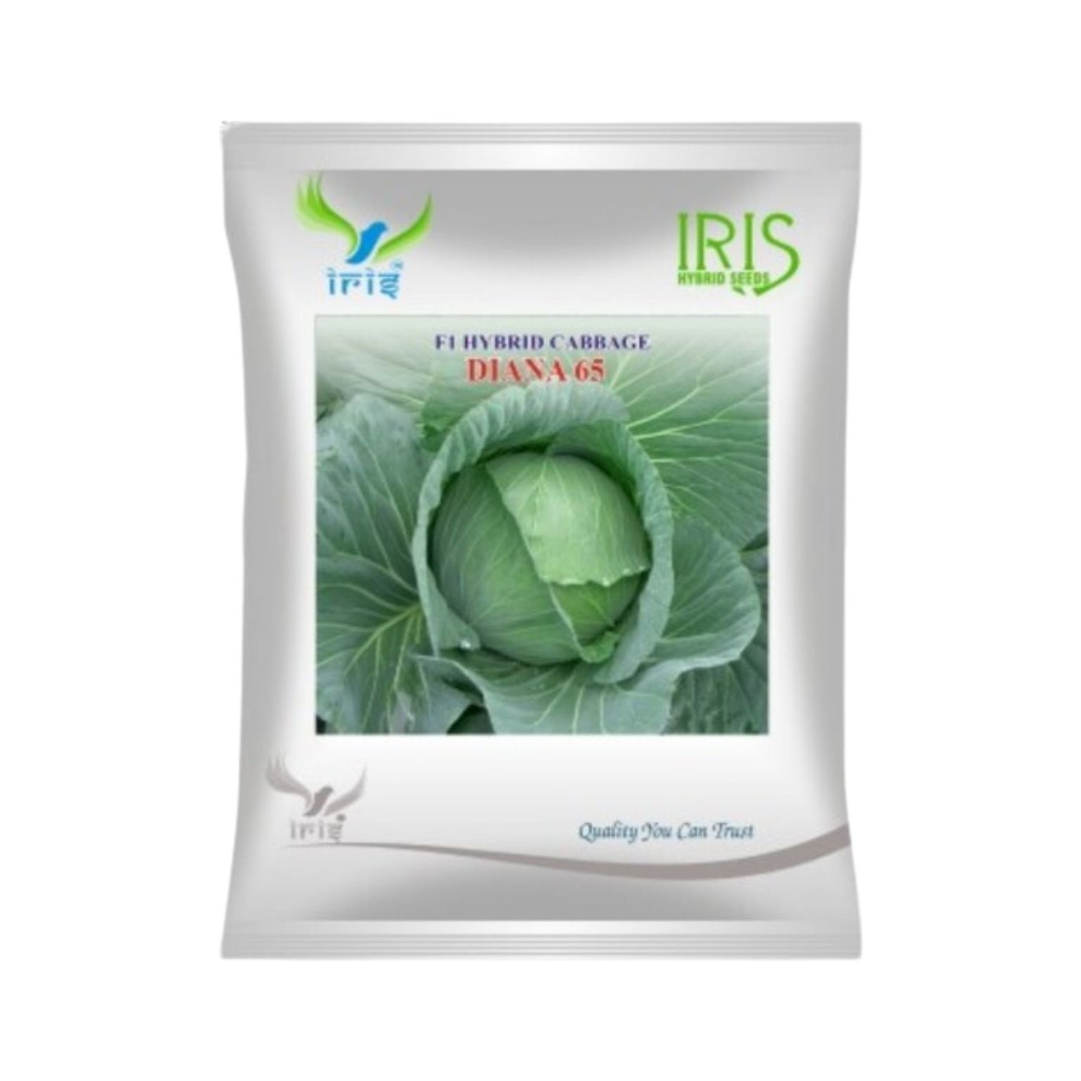 Iris Hybrid Cabbage Diana 65 Vegetable Seeds