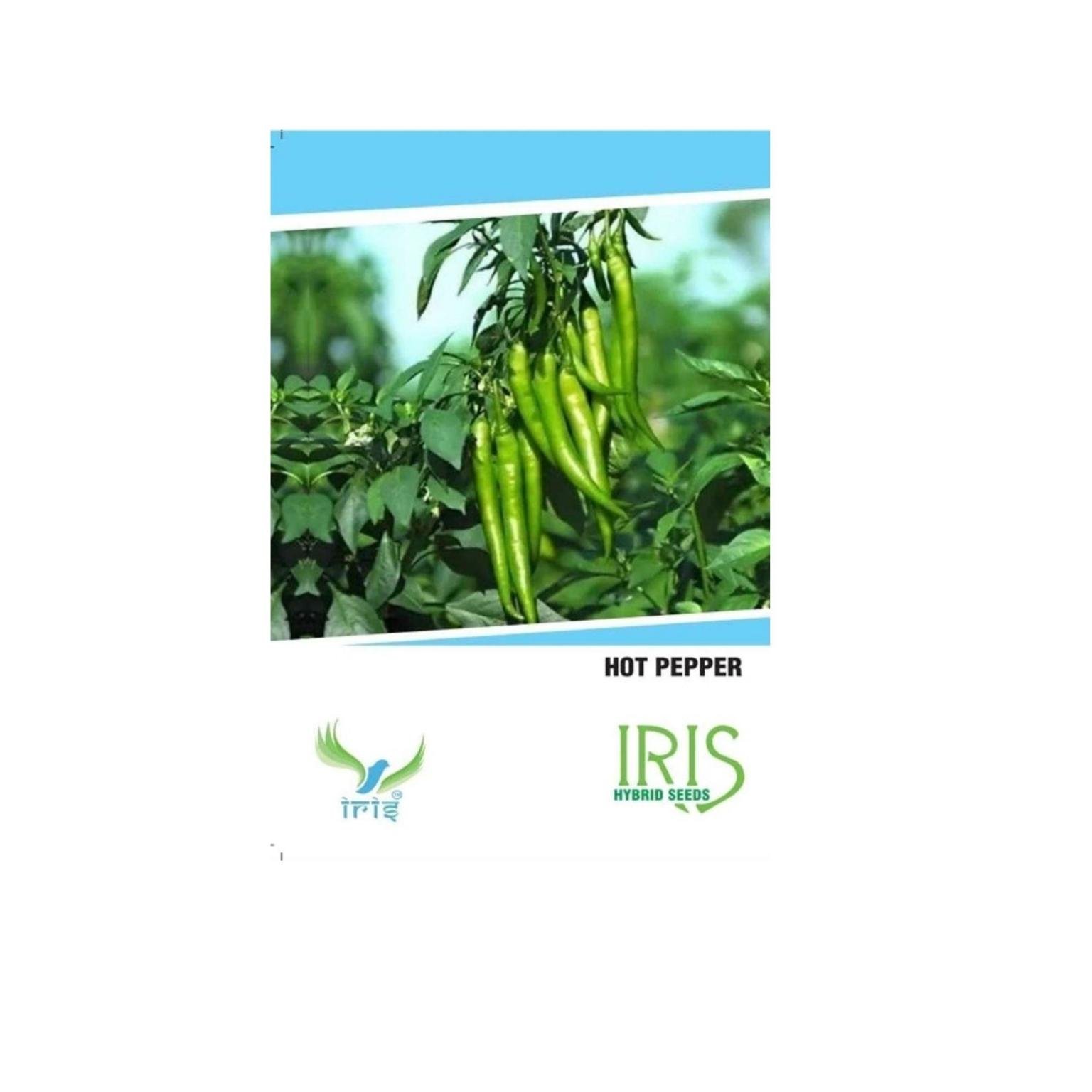 Iris Hybrid Hot Pepper Vegetable Seeds