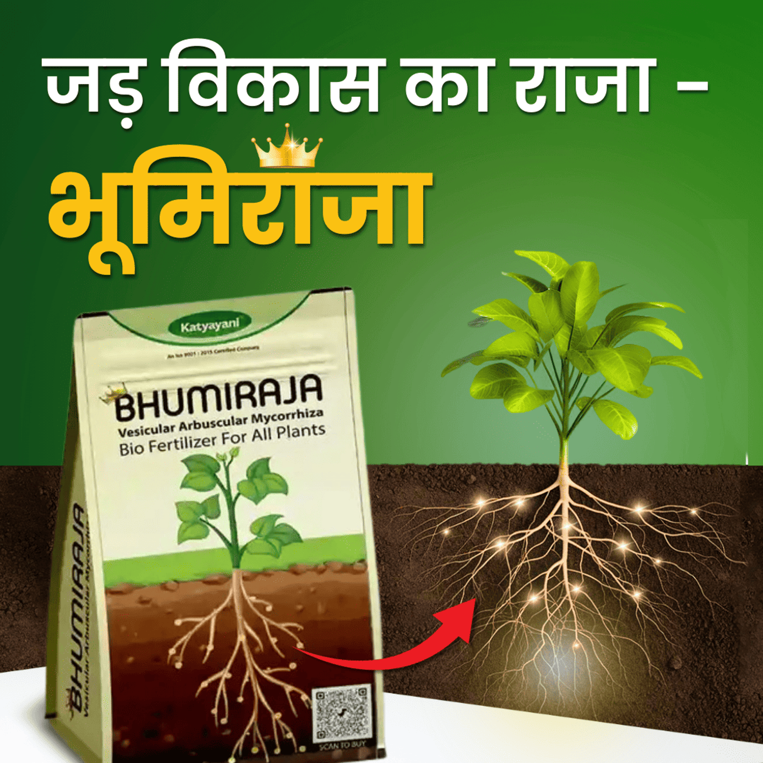 Katyayani Bhumiraja Mycorrhiza Bio Fertilizer | Katyayani Organics
