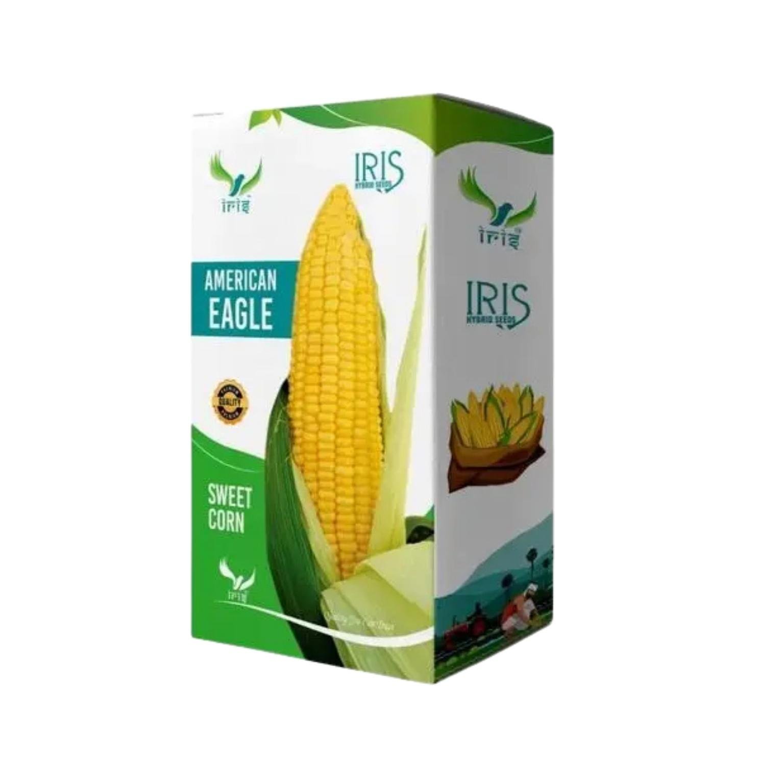 Iris Hybrid Sweet corn American Eagle Vegetable Seeds