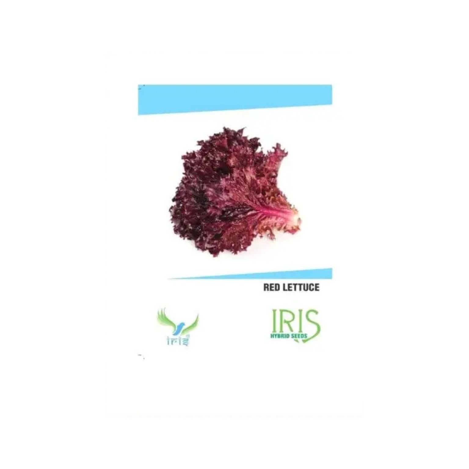 Iris Hybrid Lettuce Red Seeds Vegetable Seeds