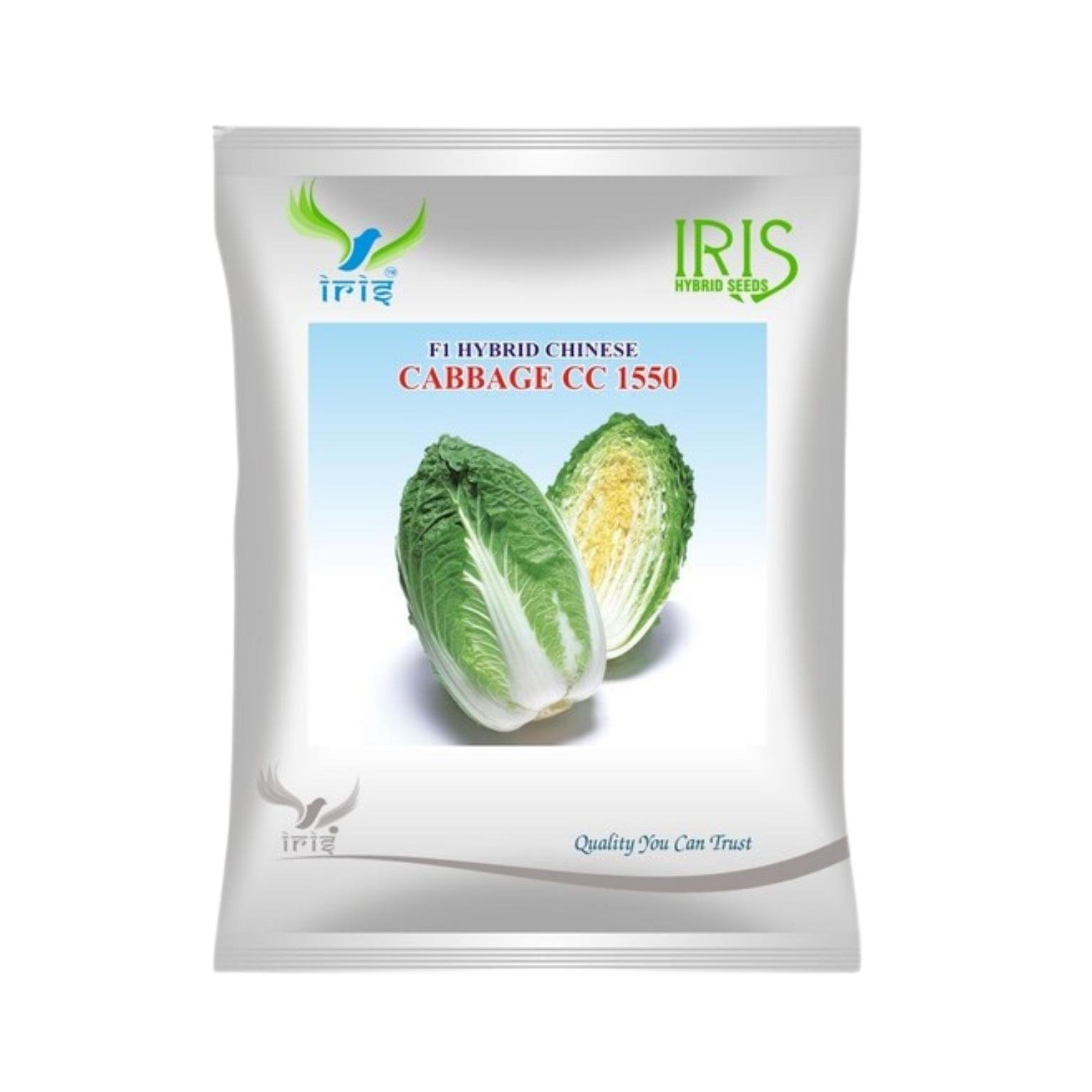 Iris Hybrid Chinese Cabbage CC 1550 Vegetable Seeds