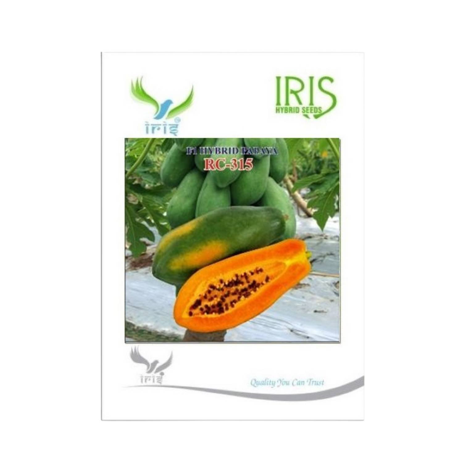 Iris Hybrid Papaya RC 315 Fruit Seeds
