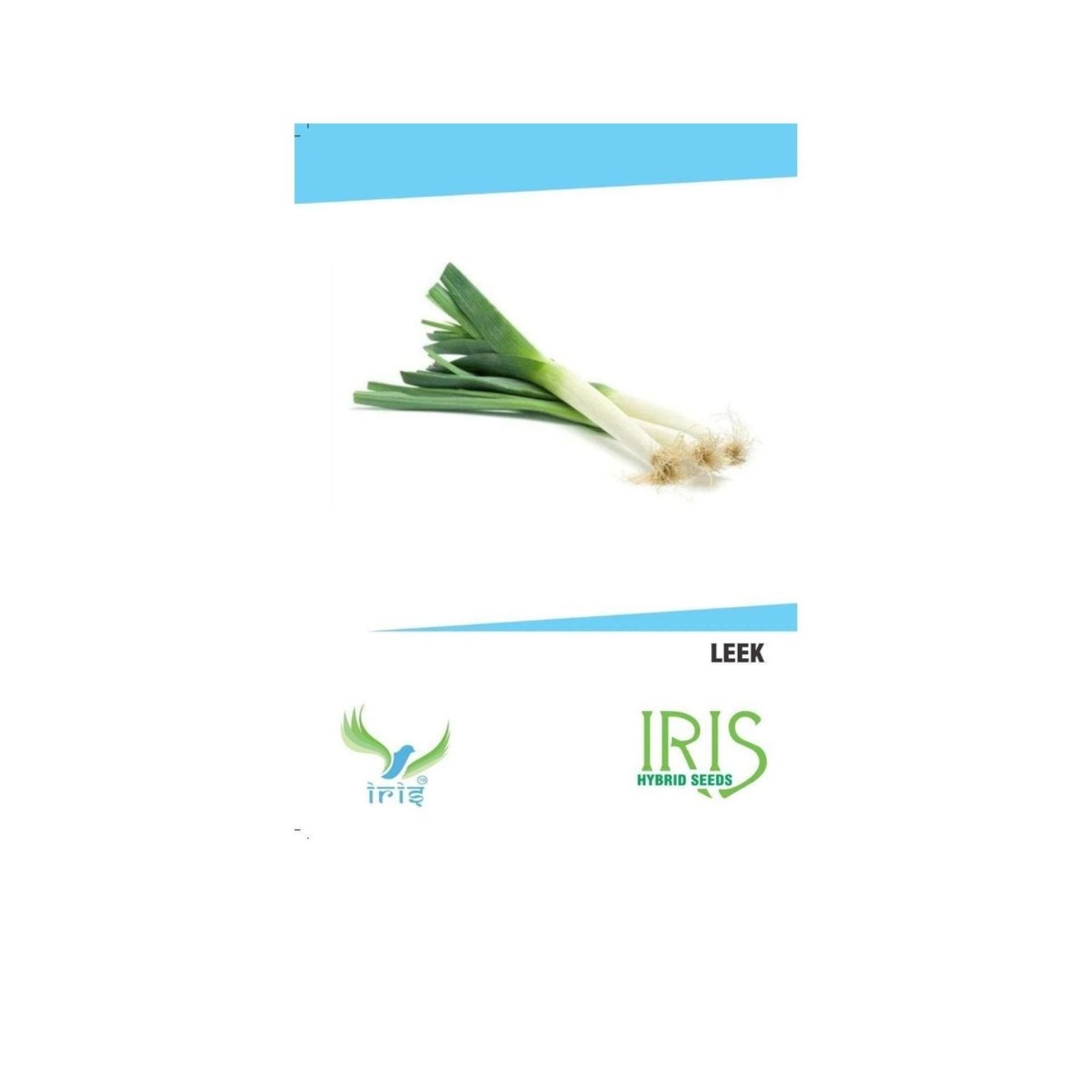 Iris Hybrid Leek Vegetable Seeds (Commercial Pack )