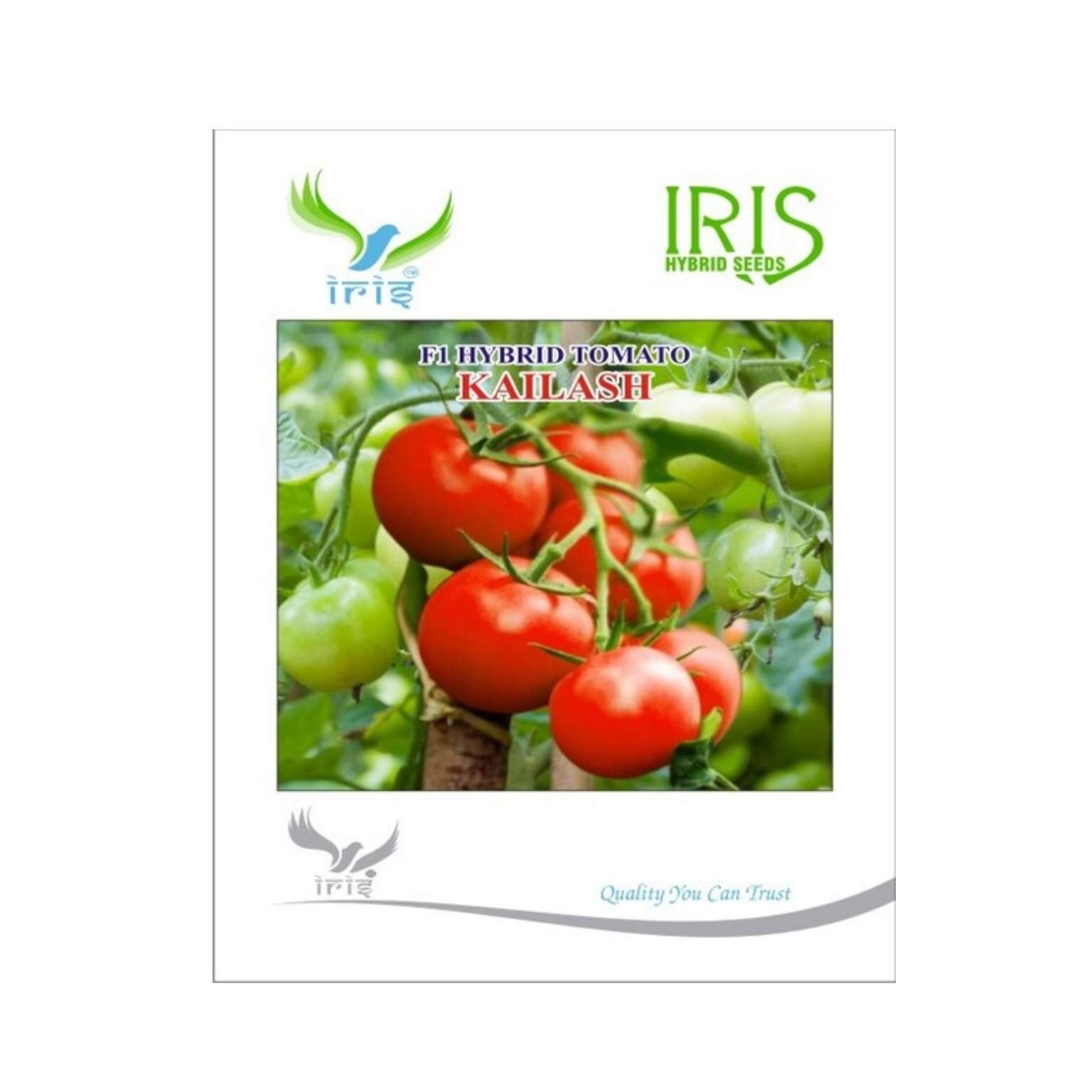 Iris Hybrid Tomato Kailash Vegetable Seeds