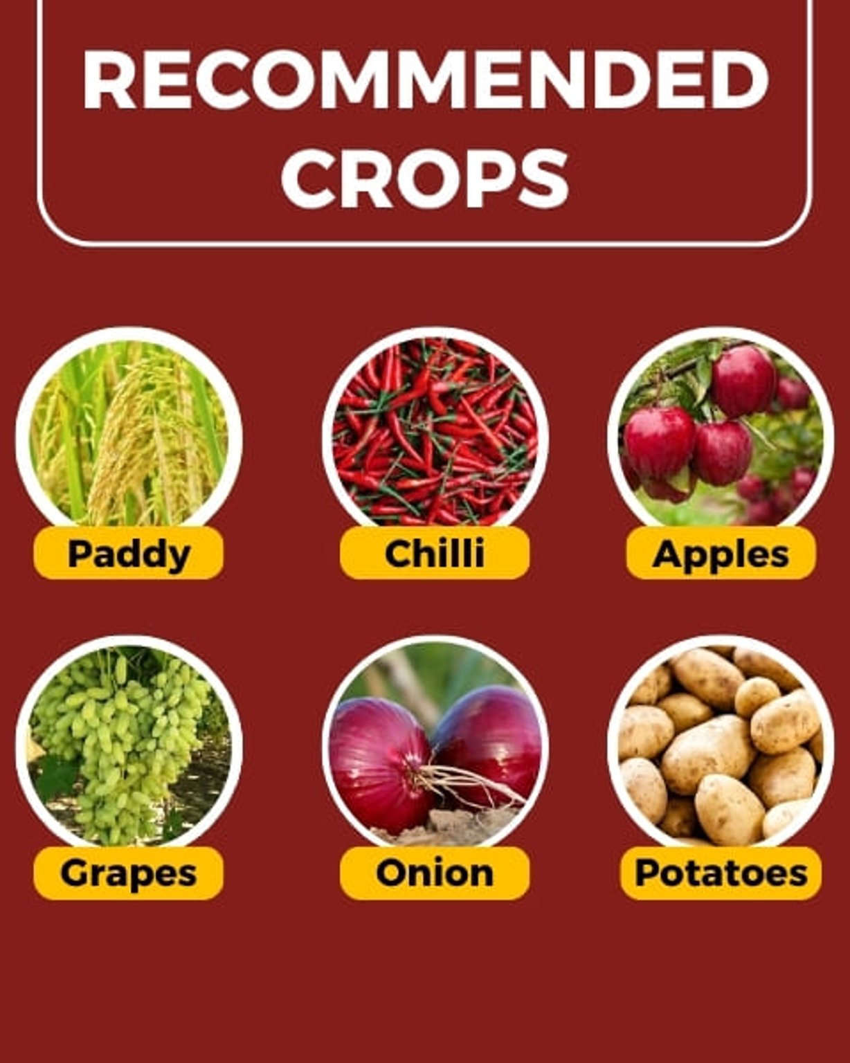 Katyayani Dr. Zole Azoxystrobin 11% + Tebuconazole 18.3% SC