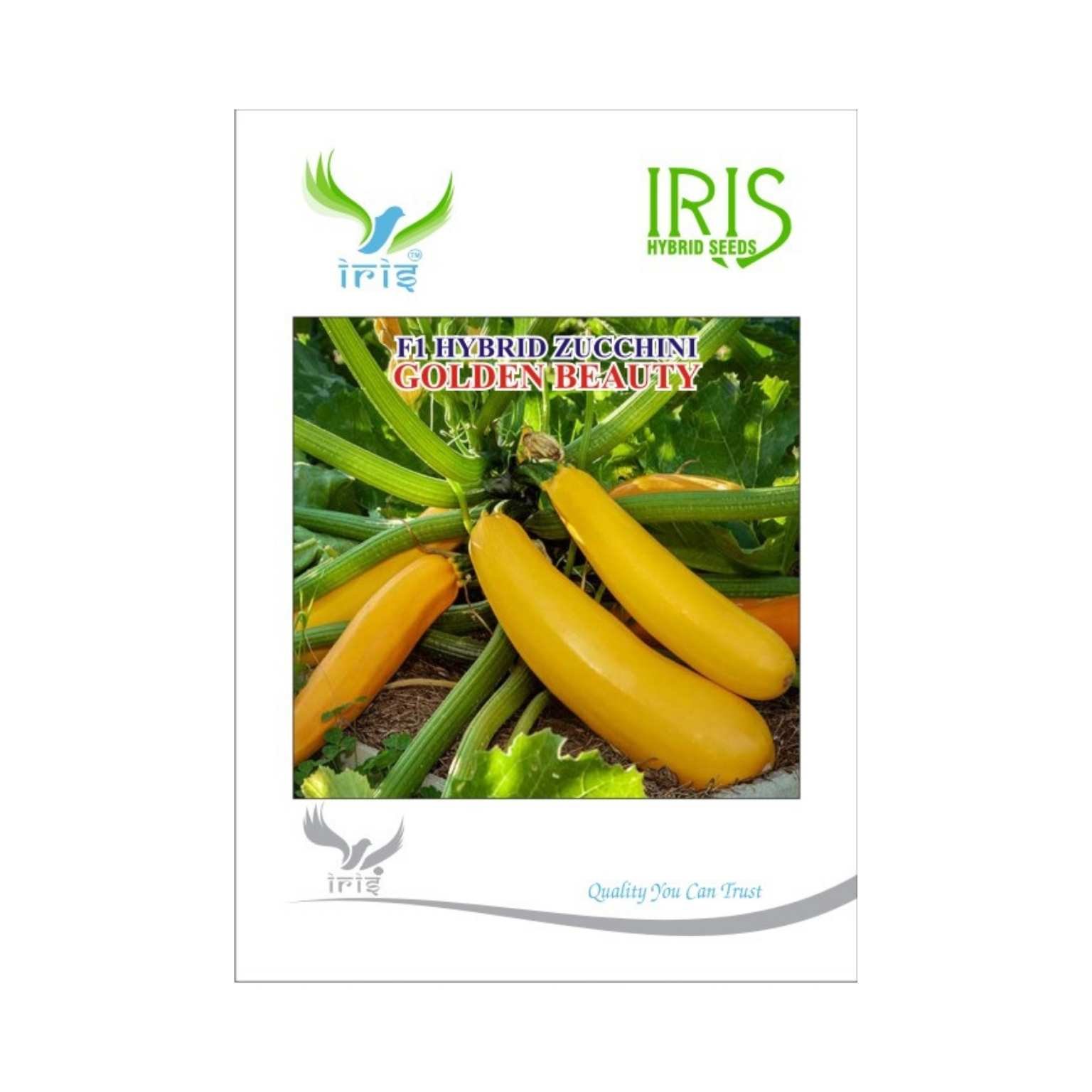 Iris Hybrid Zucchini Golden Beauty Vegetable Seeds
