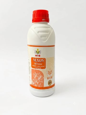 ATHRAVA NEXON ADHATODA VESIKA EXTRACT 2%(LIQUID)