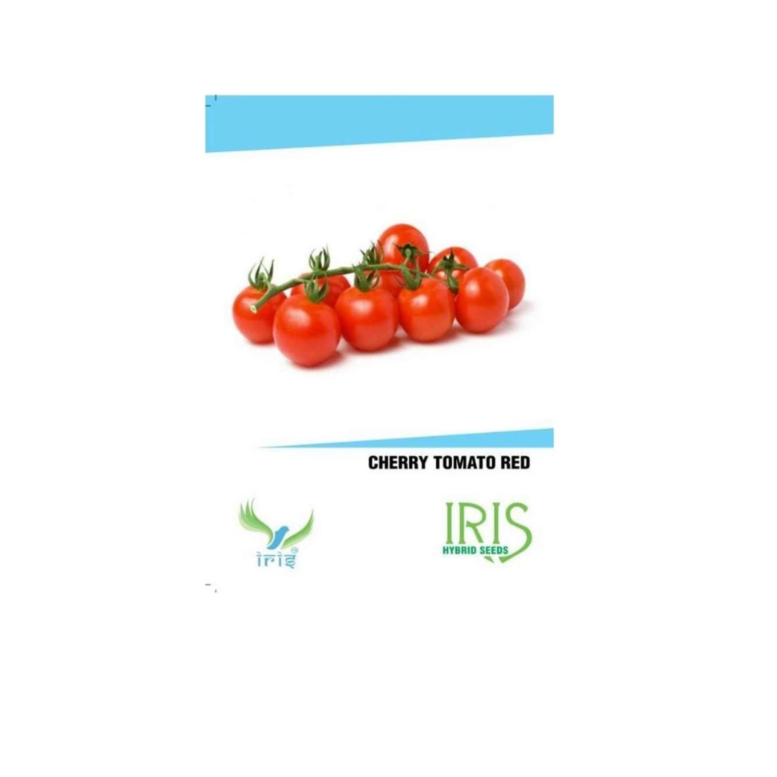 Iris Hybrid Cherry Tomato Red Vegetable Seeds