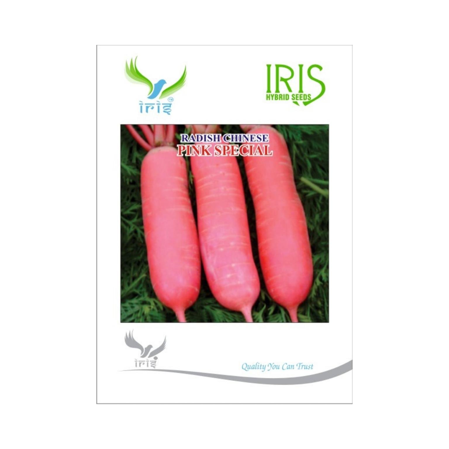 Iris Hybrid Radish Chinese Pink Special Vegetable Seeds