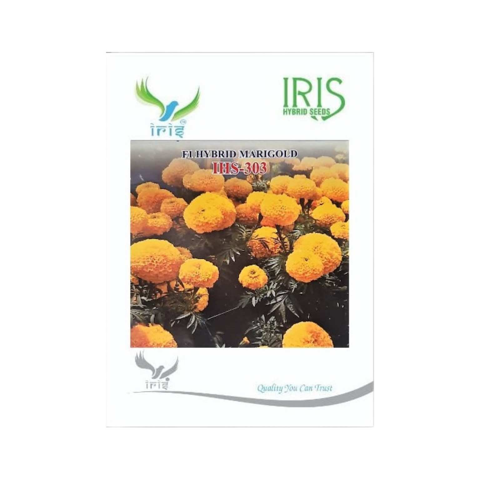 Iris Hybrid Marigold Yellow IHS 303 Flower Seeds