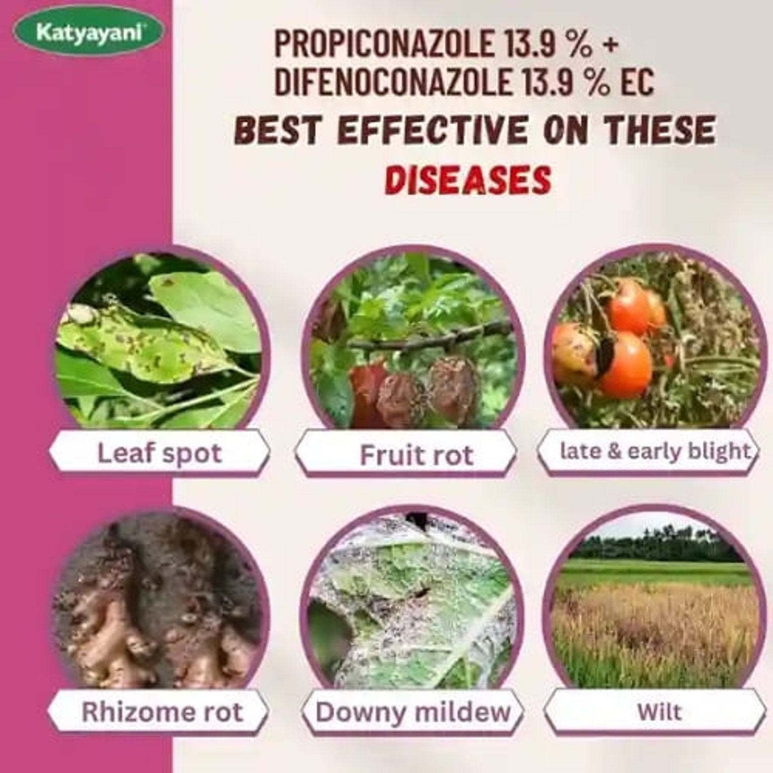 Katyayani Prodifen Propiconazole 13.9 % + Difenoconazole 13.9 % EC  Chemical Fungicide