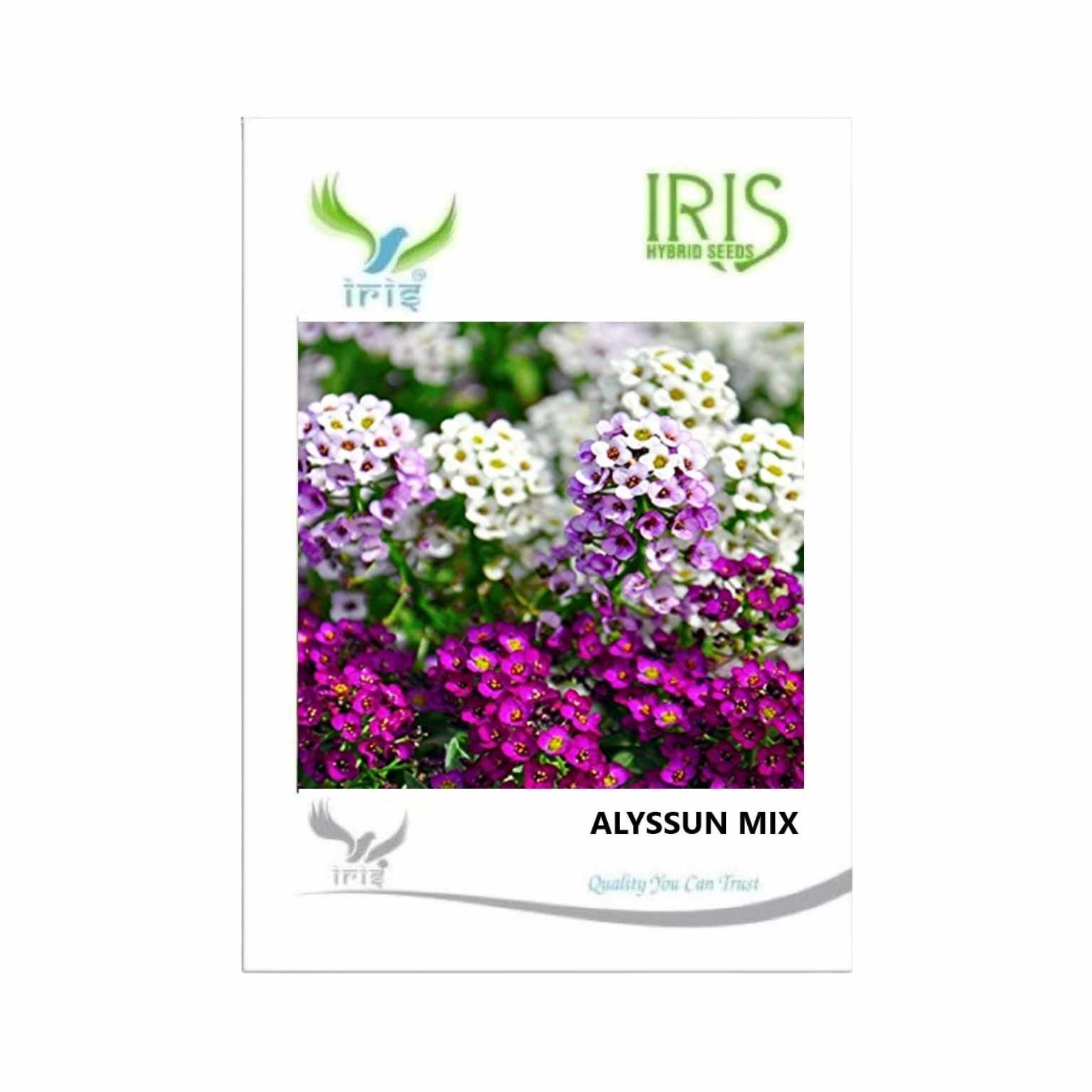 Iris Hybrid Alyssum Mix Flower Seeds