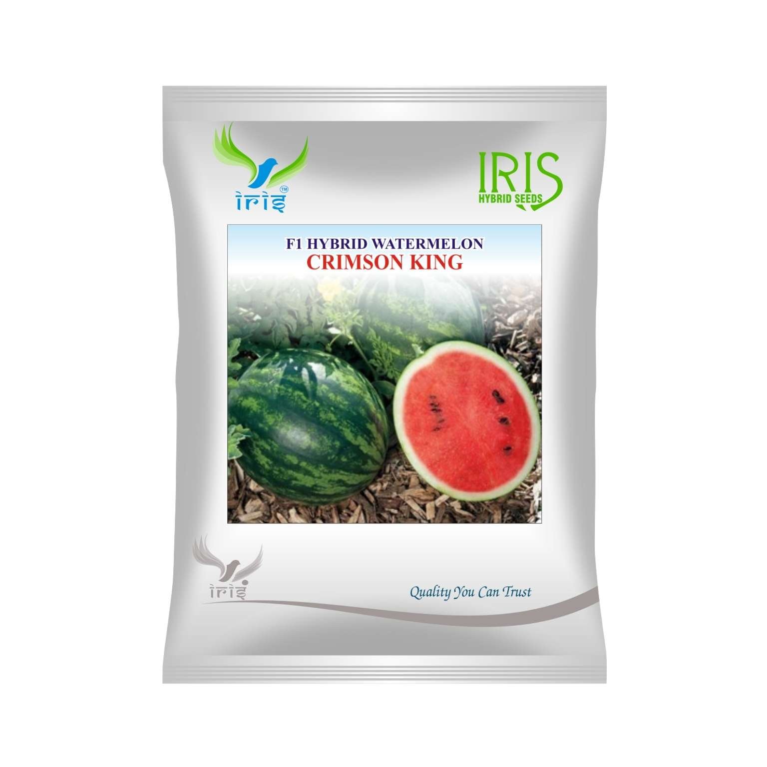 Iris Hybrid Watermelon Crimson King Fruit  Seeds