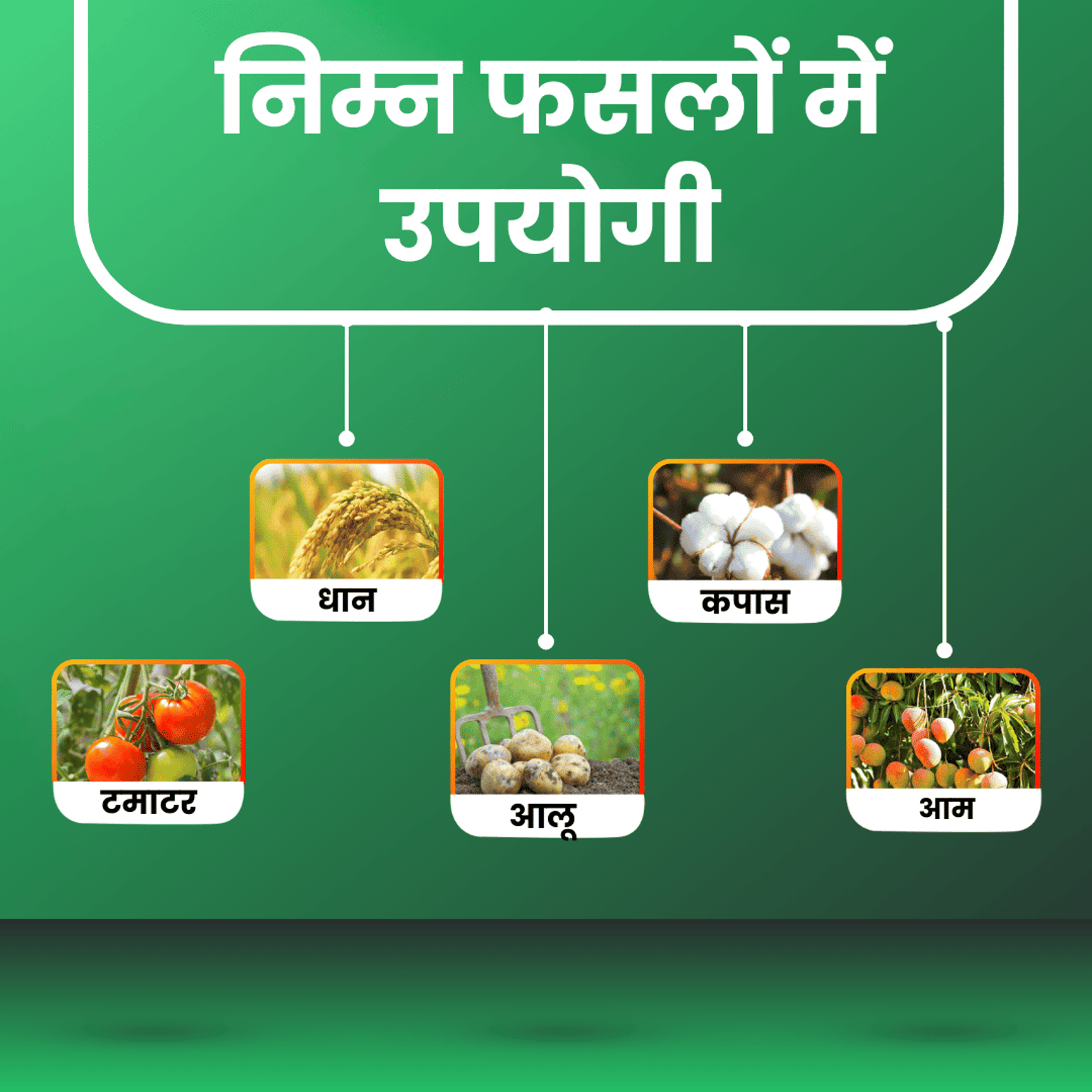 Katyayani Thioxam Thiamethoxam 25% WG Chemical Insecticide