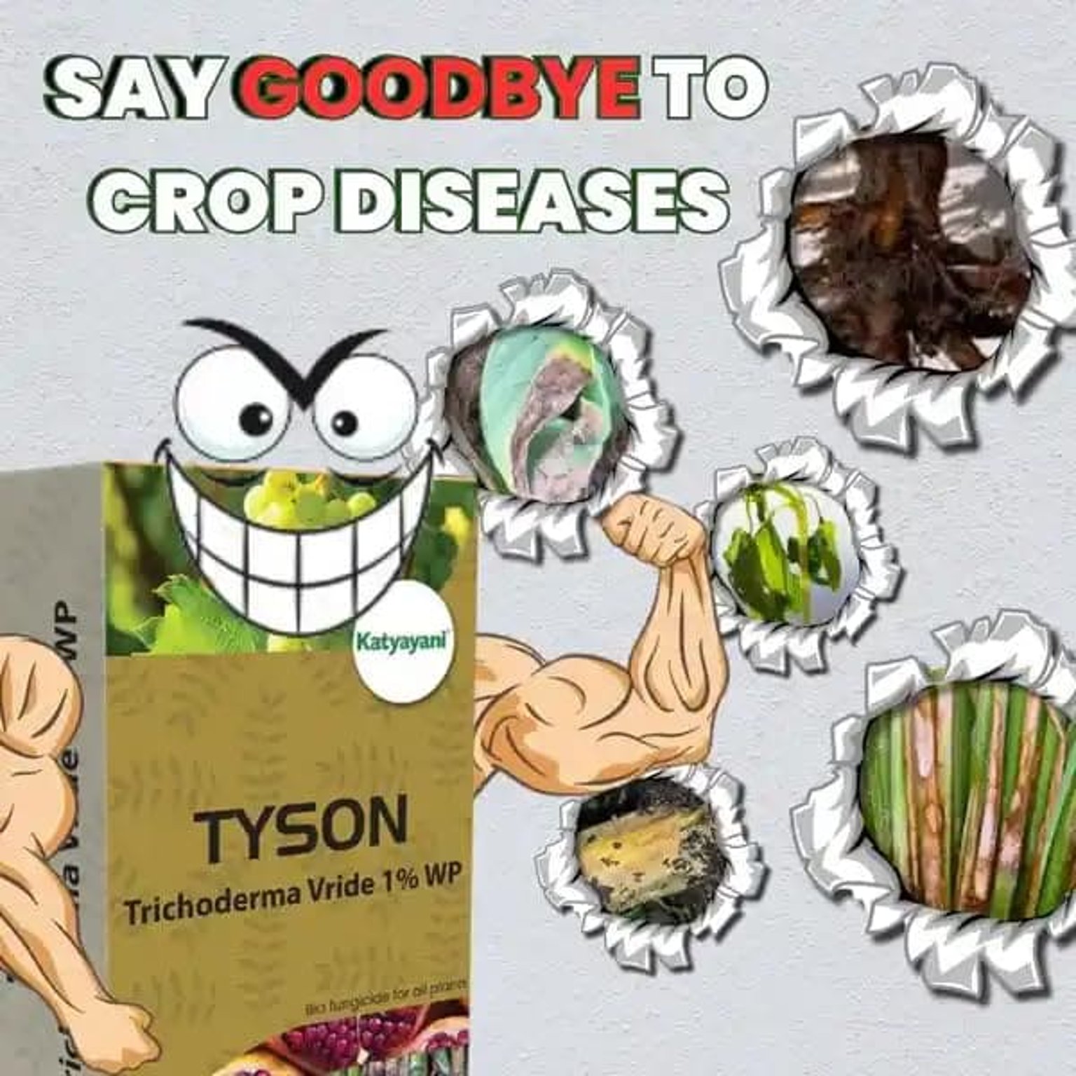 Katyayani Tyson | Trichoderma Viride 1% WP