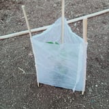 PLANT PROTECTION COVER 100 PIC