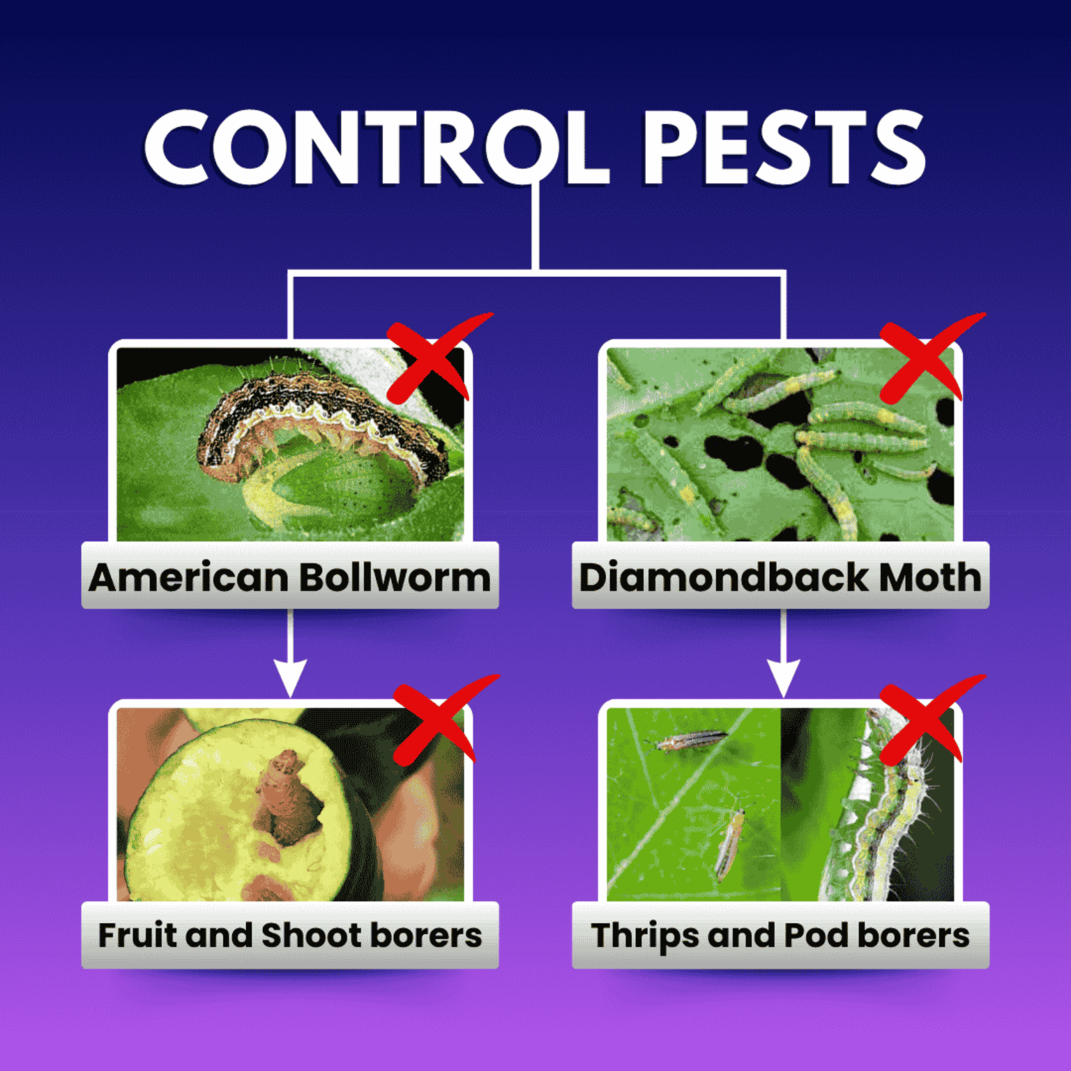 Katyayani Spino 45 Spinosad 45% SC Chemical Insecticide