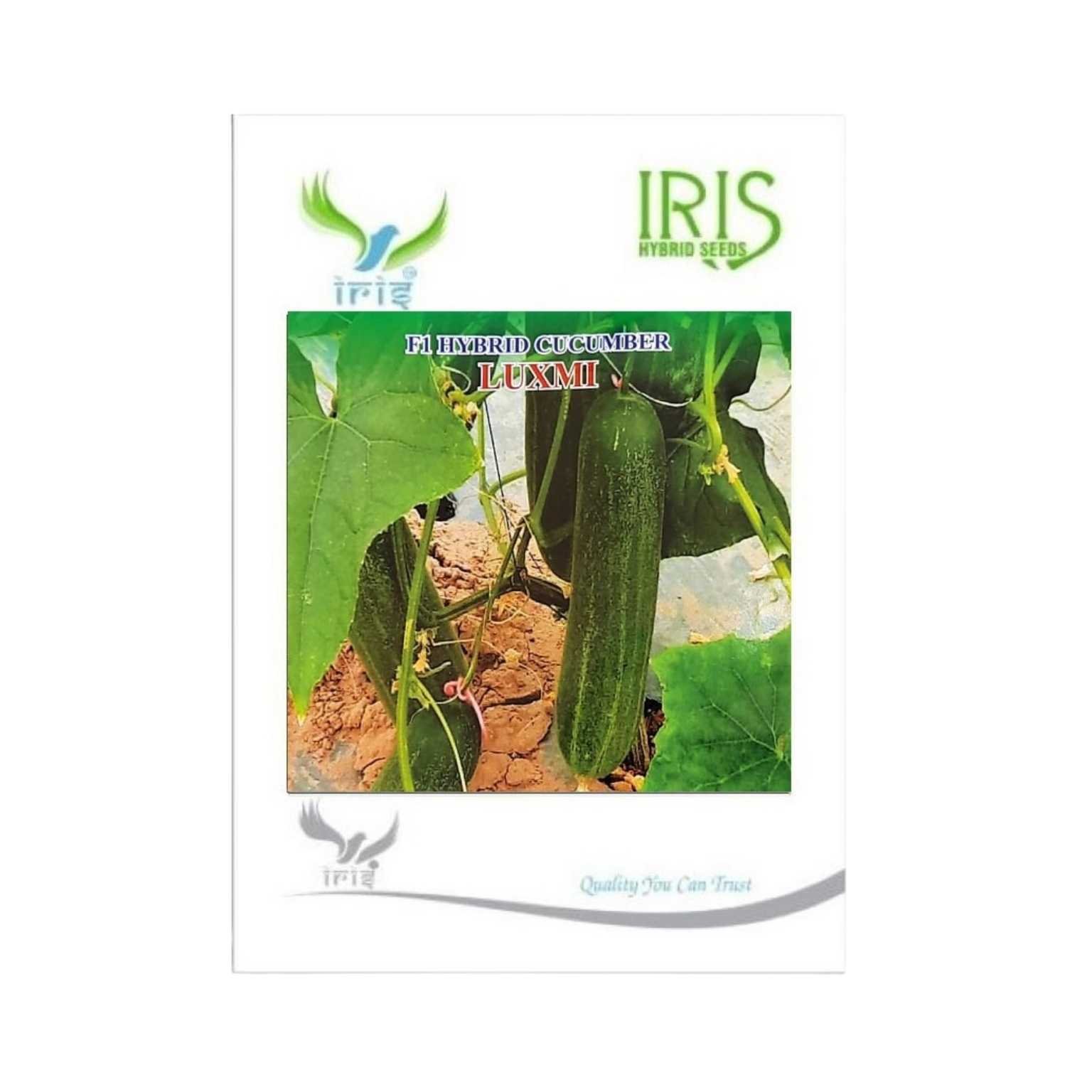 Iris Hybrid Cucumber Luxmi Vegetable Seeds