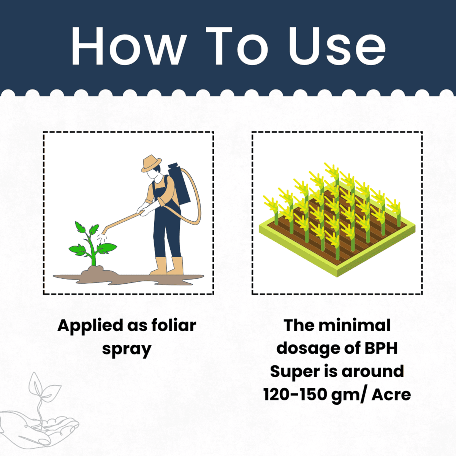 Katyayani BPH Super Pymetrozine 50% WG Chemical Insecticide