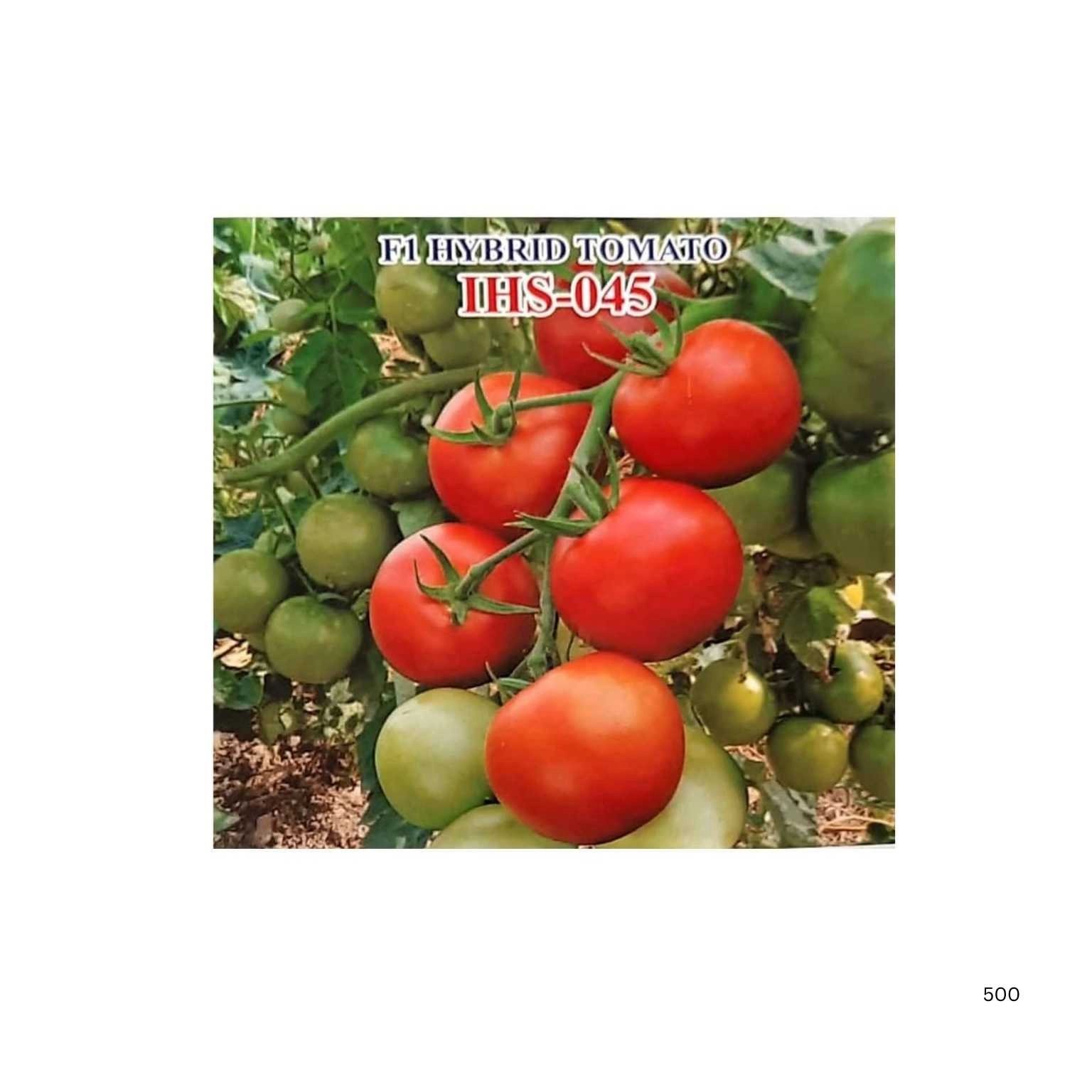 Iris Hybrid Tomato IHS 045 Vegetable Seeds