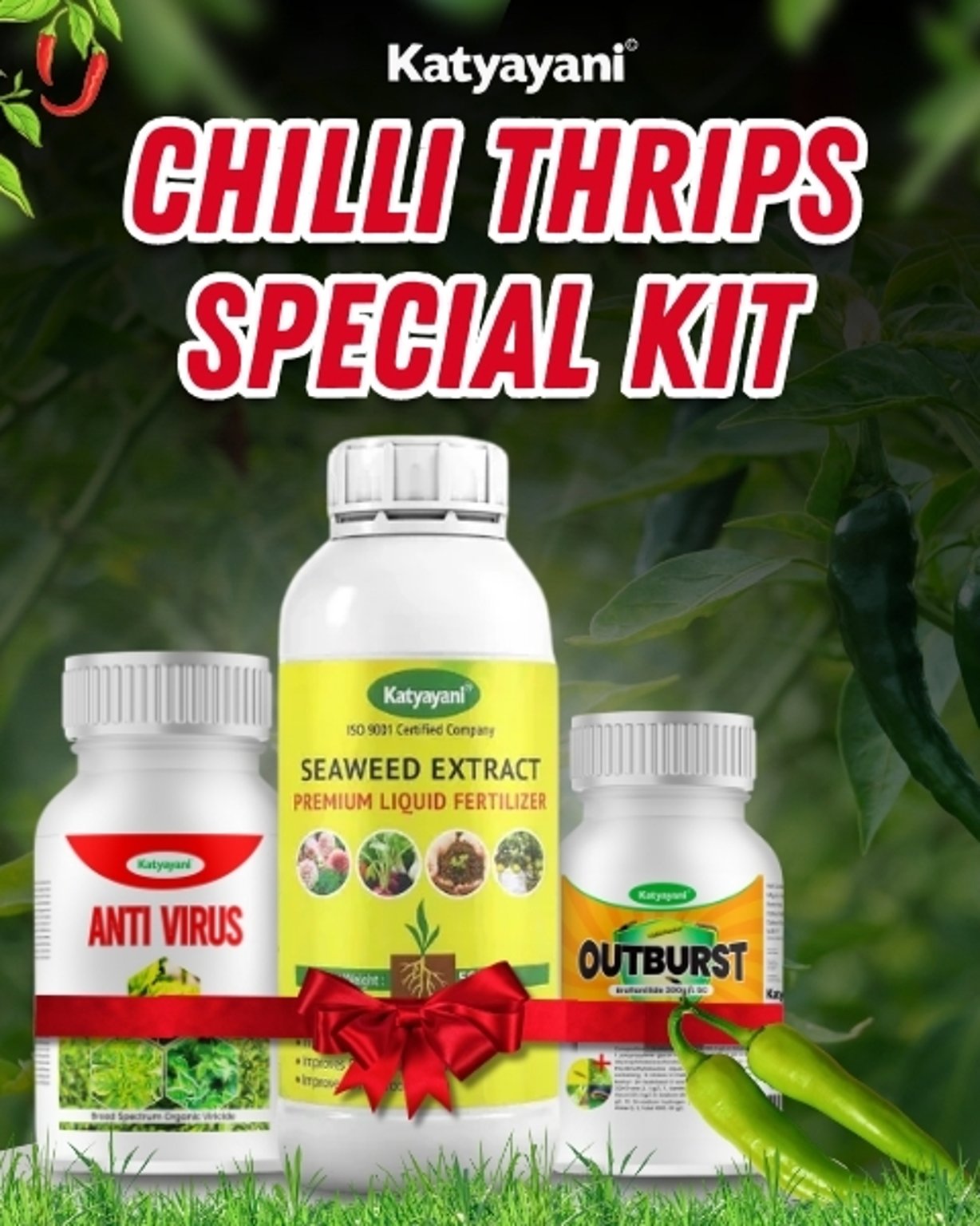 Katyayani Organics Chilli Thrips Special Kit Outburst 34 ML + Anti Virus 500 ML + Seaweed Extract Liquid 250 ML