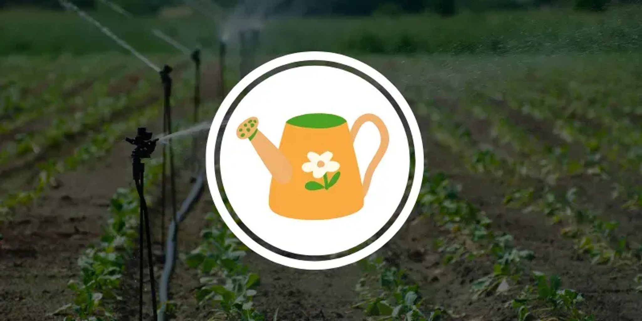 DRIP IRRIGATION FILTER