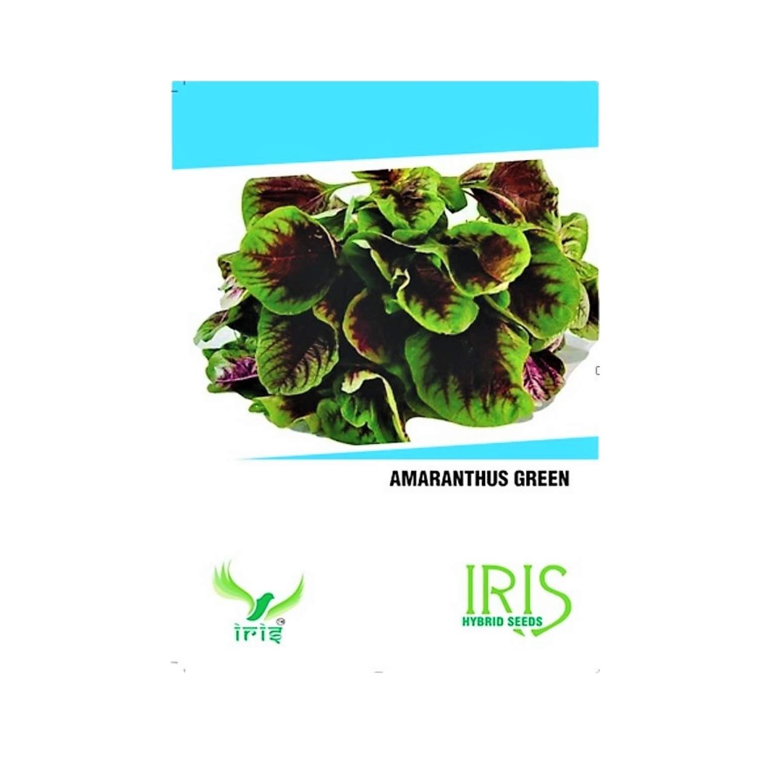 Iris Hybrid Amaranthus Green Vegetable Seeds