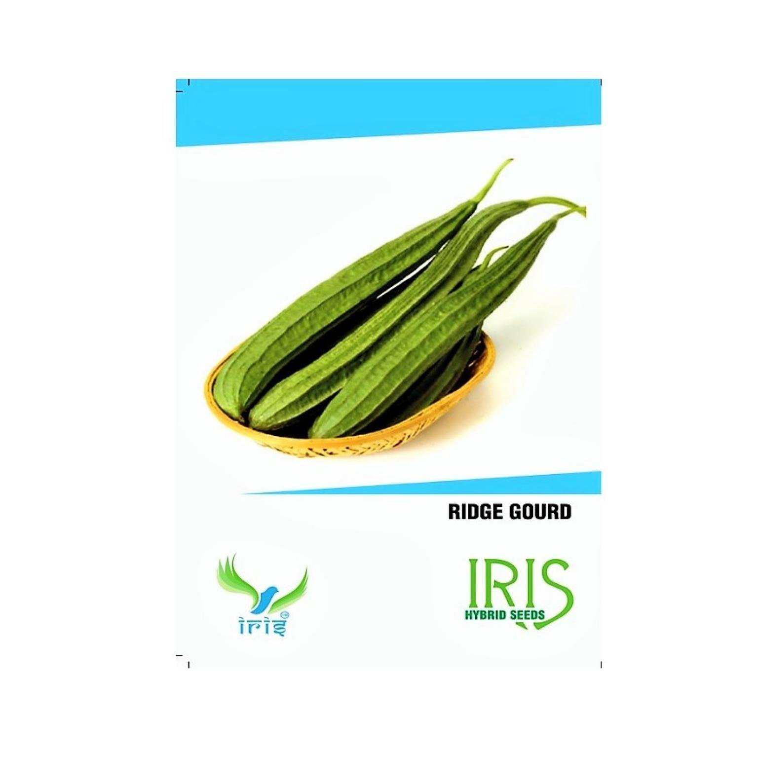 Iris Hybrid Ridge Gourd Seeds Vegetable Seeds