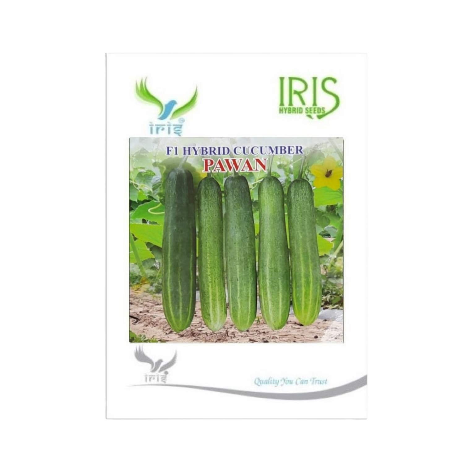 Iris Hybrid Cucumber Pawan Vegetable Seeds