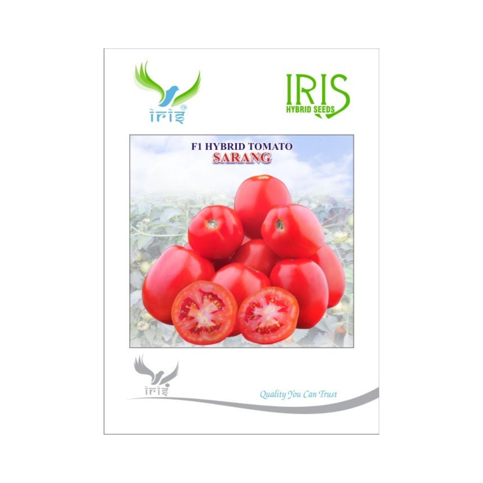 Iris Hybrid Tomato Sarang Vegetable Seeds