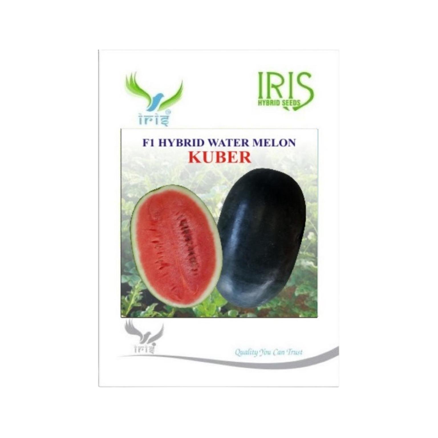Iris Hybrid Watermelon Kuber Fruit Seeds