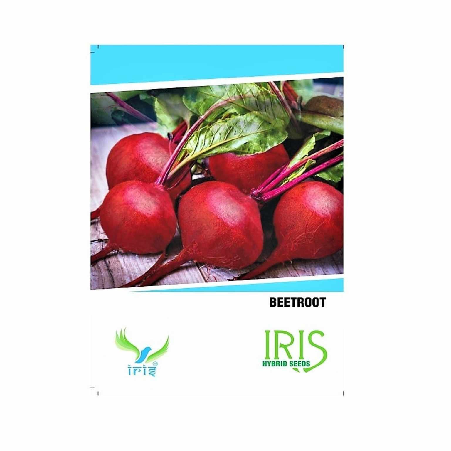 Iris Hybrid Beetroot Vegetable Seeds