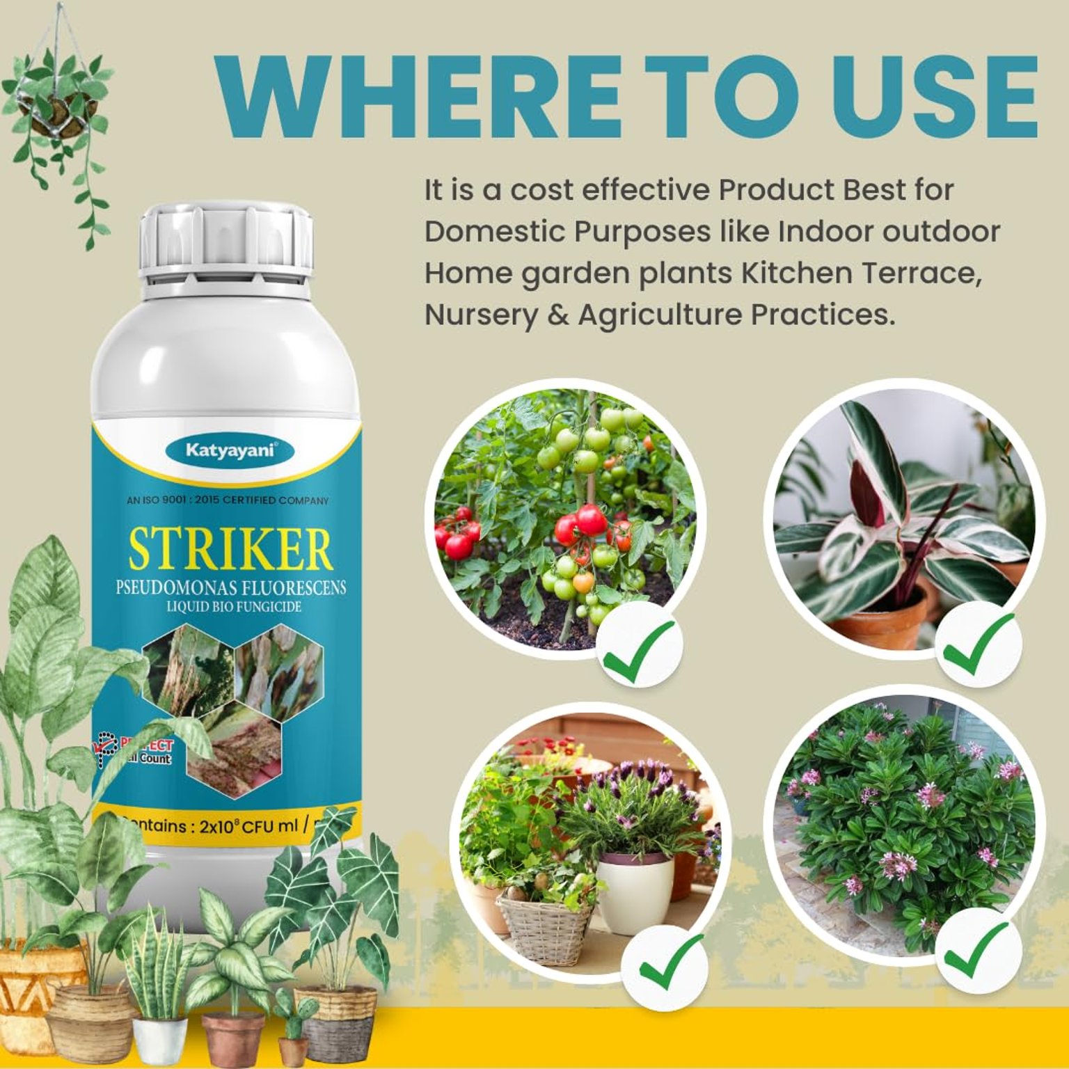 Katyayani Striker | Pseudomonas Fluorescens | Liquid Bio Fungicide
