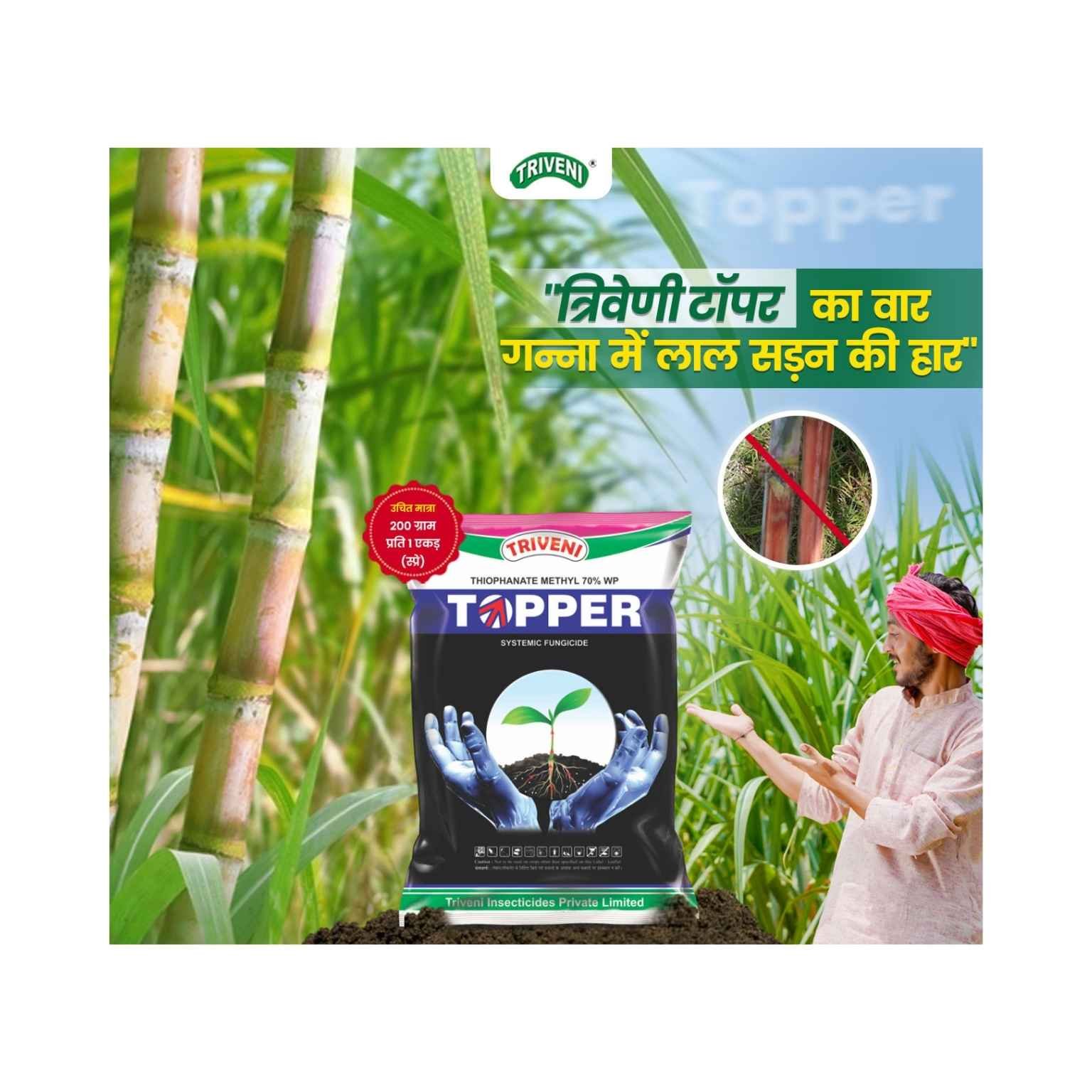 Triveni TOPPER 70% Thiophanate Methyl 70% WP Fungicide