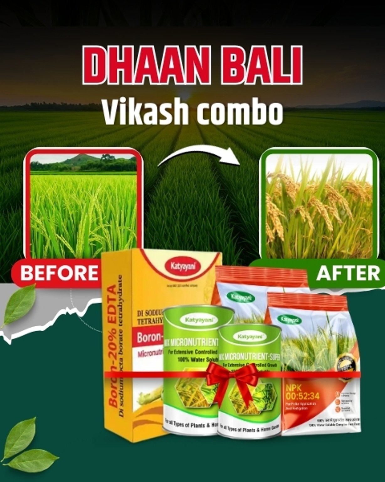 Katyayani Organics Dhan Bali Vikas Combo NPK 00 52 34 2 KG + Boron 400 GM + Mix Micronutrient 200 GM