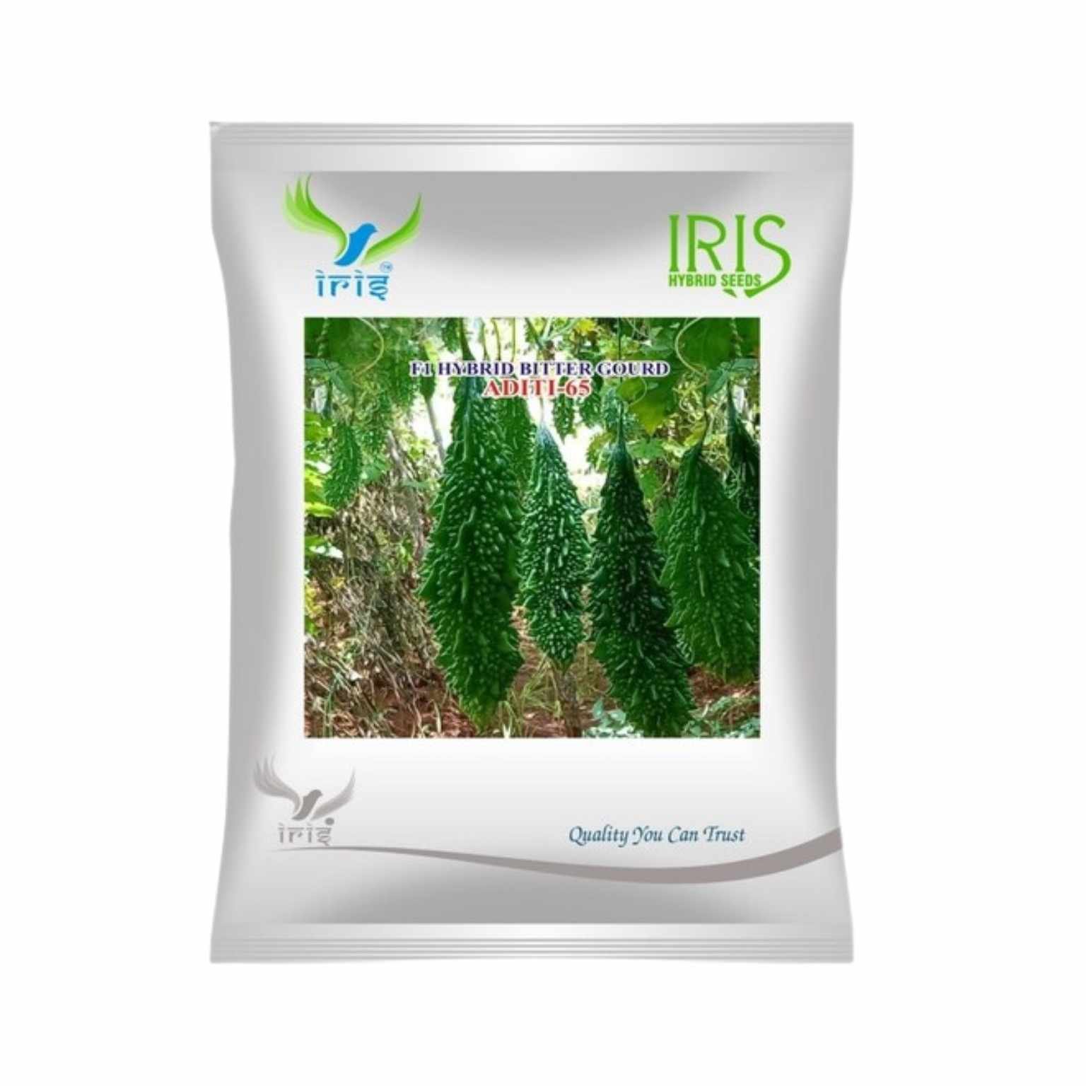 Iris Hybrid Bitter Gourd Aditi 65 Vegetable Seeds