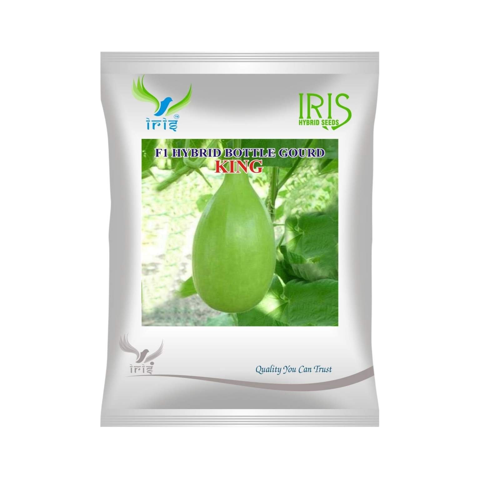 Iris Hybrid Bottle Gourd King Vegetable Seeds