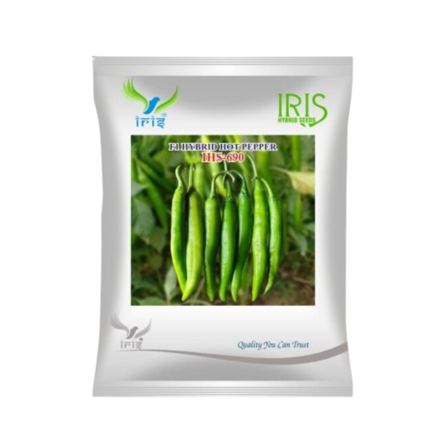 Iris Hybrid Hot Pepper (Chilli) IHS 690 Vegetable Seeds