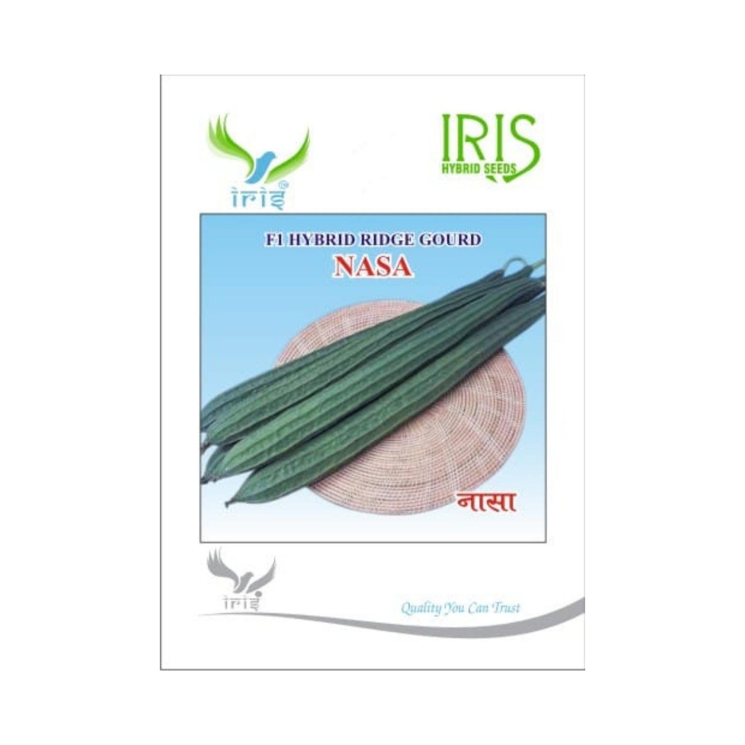 Iris Hybrid Ridge Gourd Nasa Vegetable Seeds