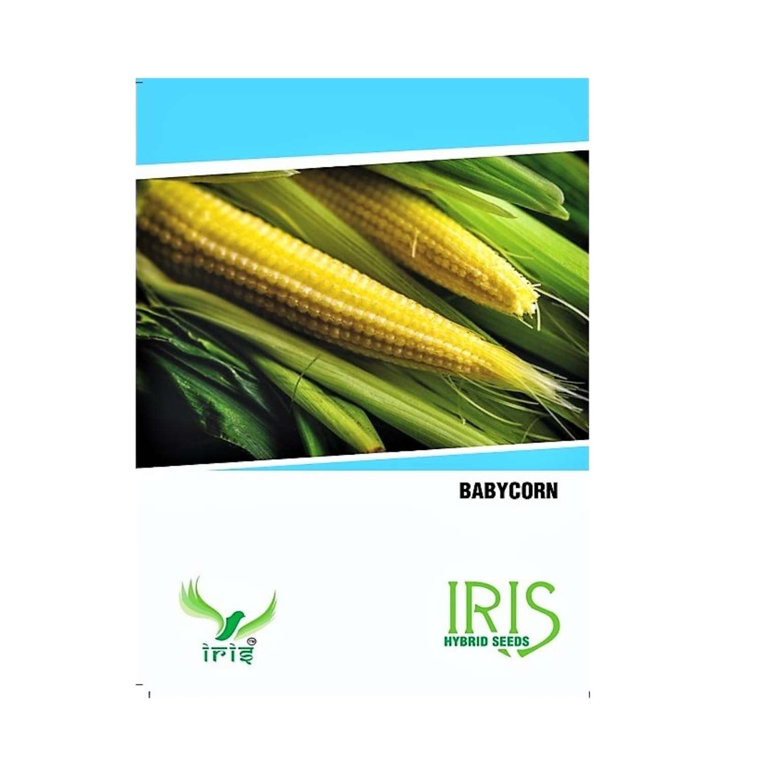 Iris Hybrid Baby Corn Vegetable Seeds