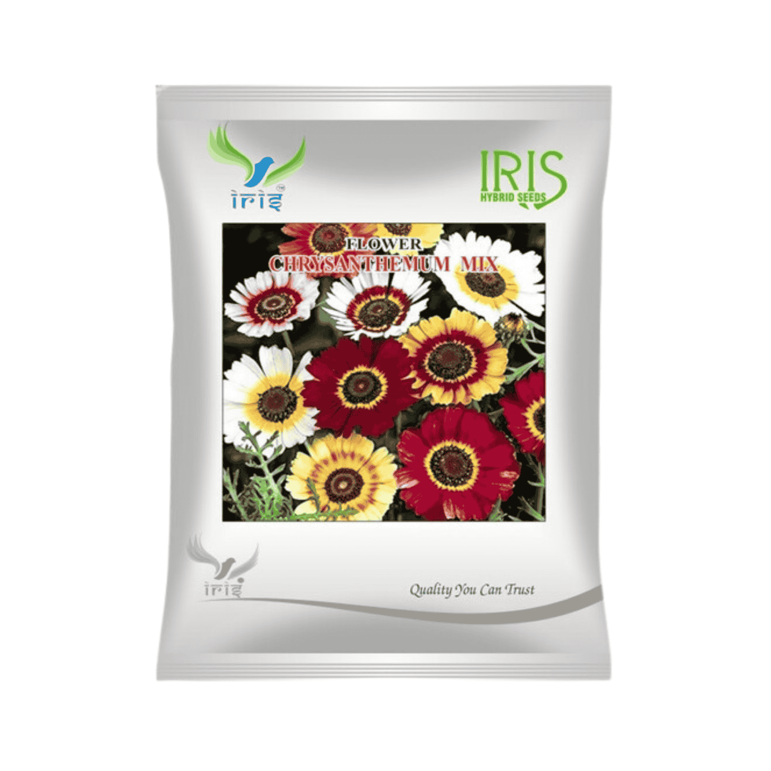 Iris Chrysanthemum Carinatum Mix Flower Seeds (300 Seeds)