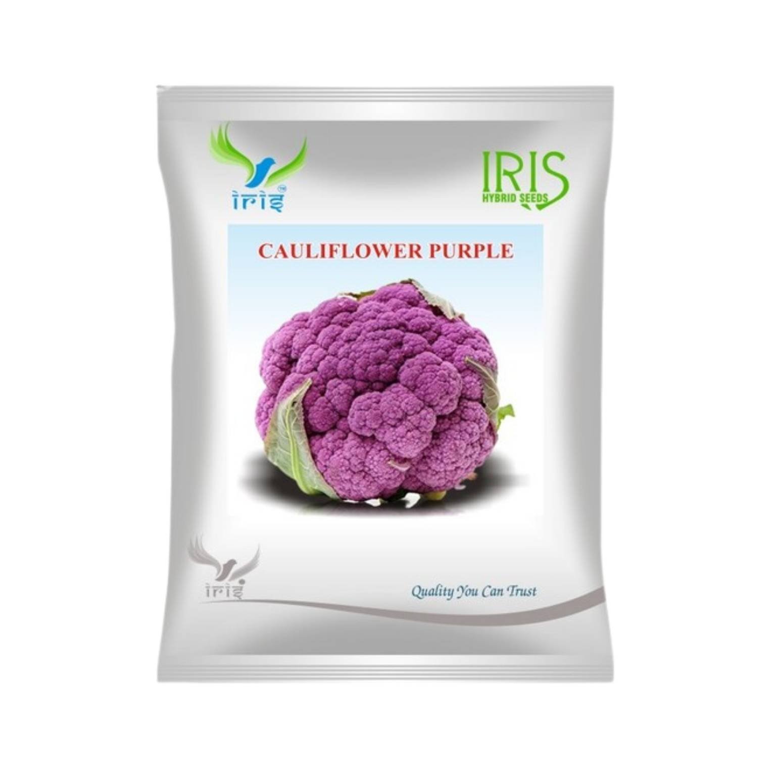 Iris Hybrid Cauliflower Purple Vegetable Seeds