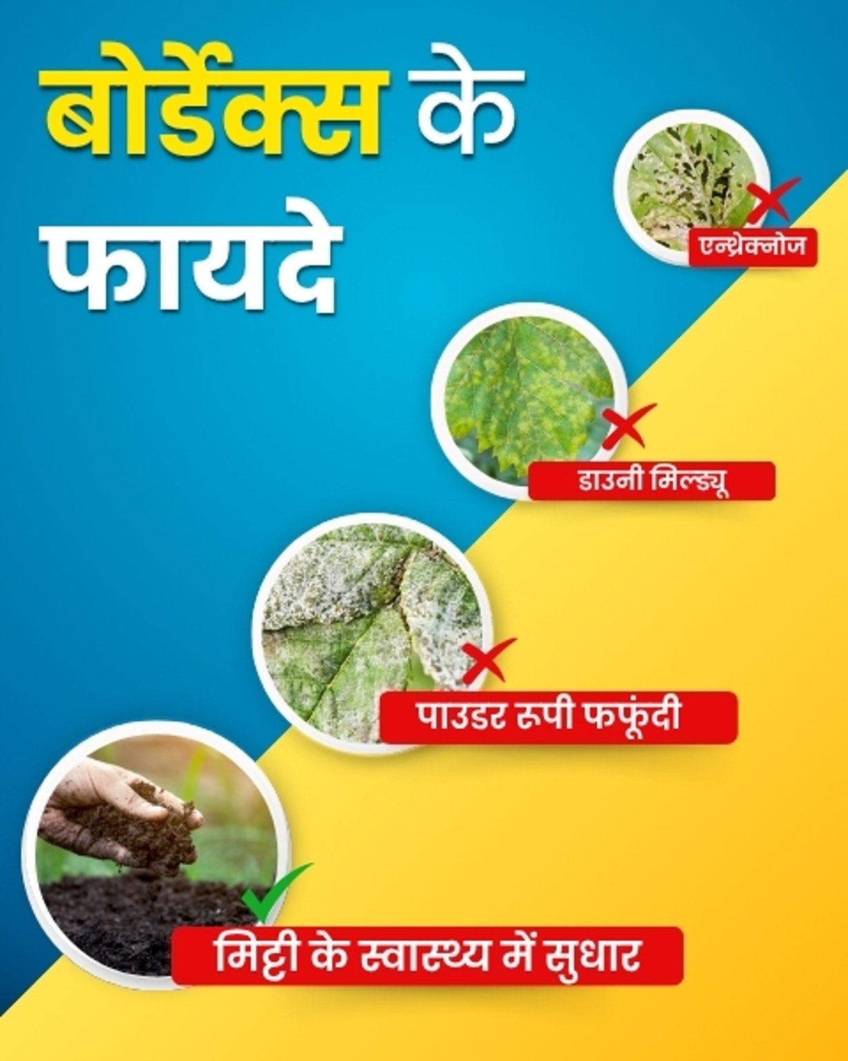 KATYAYANI BORDEAUX MIXTURE COPPER SULPHATE 3.0% +CALCIUM HYDROXIDE 0.6% CHEMICAL FUNGICIDE