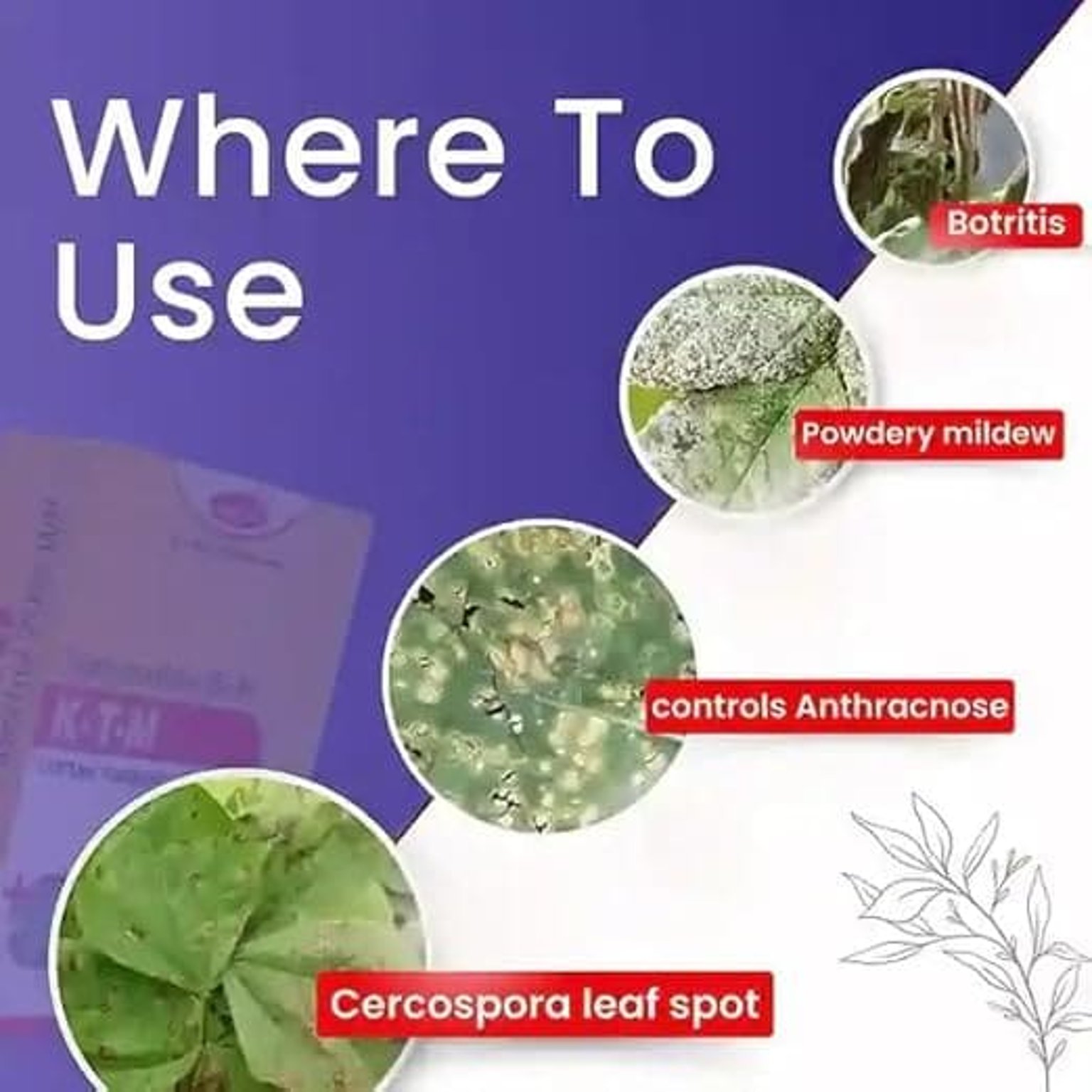 Katyayani KTM Thiophanate Methyl 70% WP